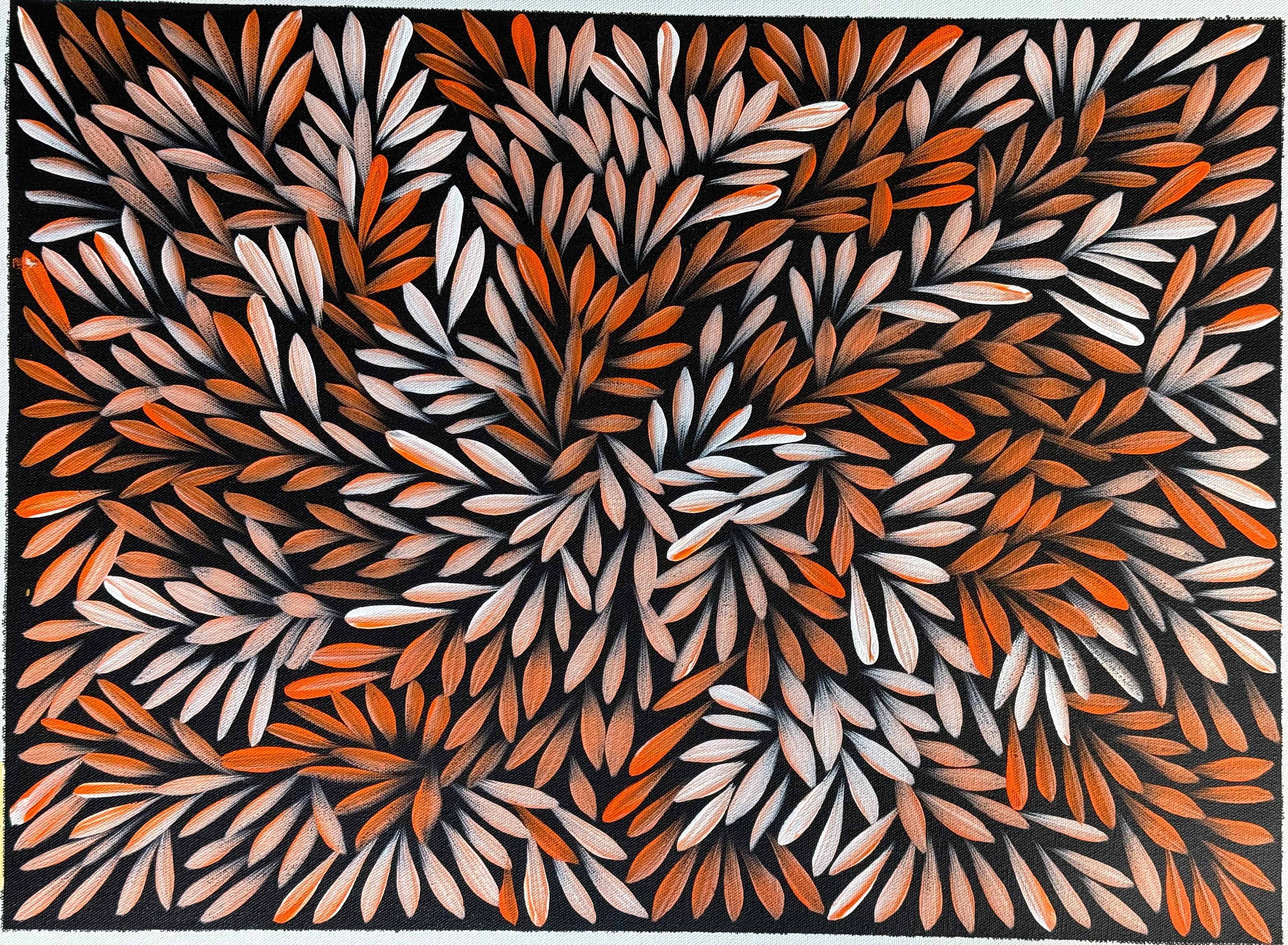 Sharon Numina - Bush Medicine Leaves .14-71
