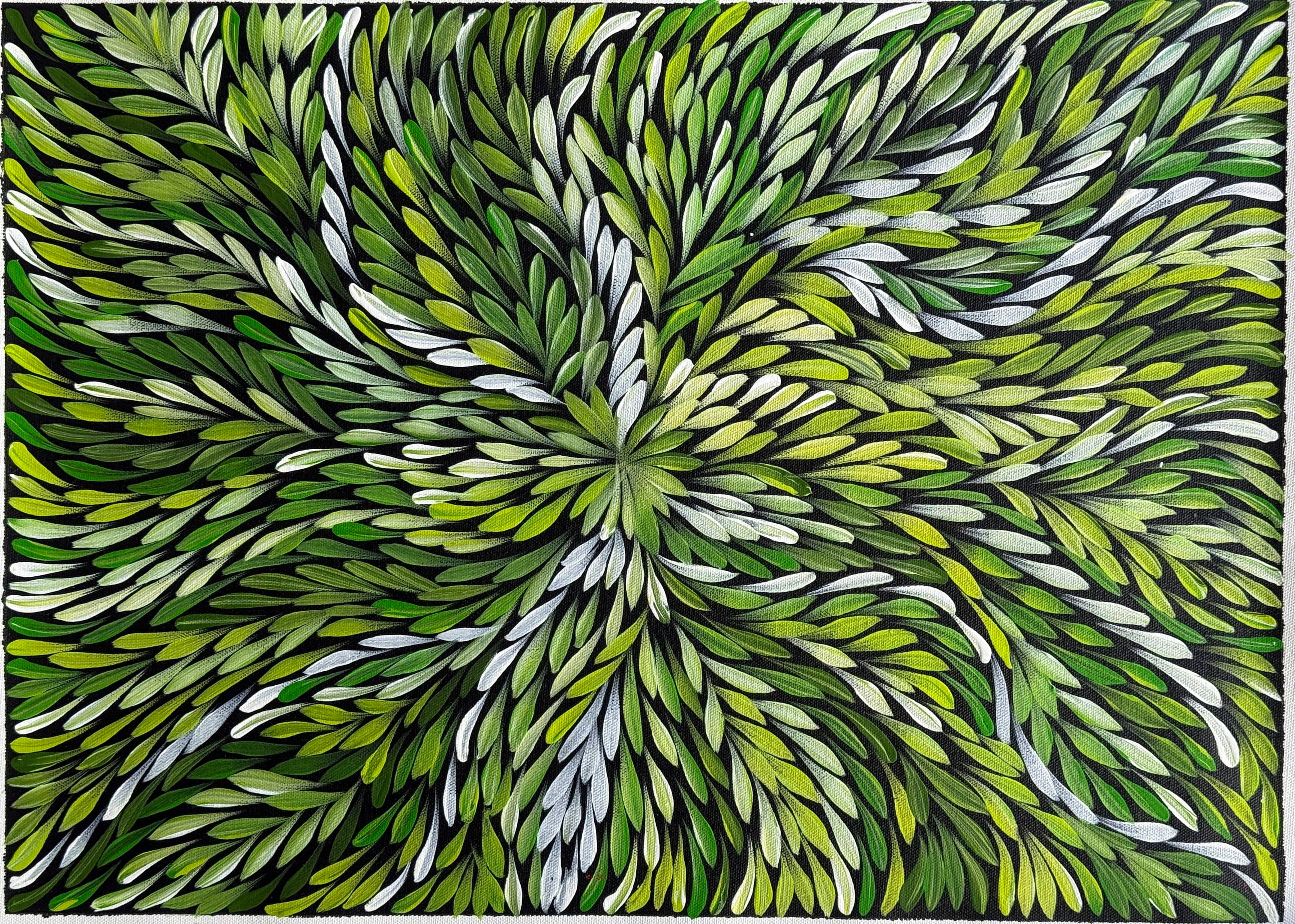 Sharon Turner - Bush Medicine Leaves - 52x38cm .16-18