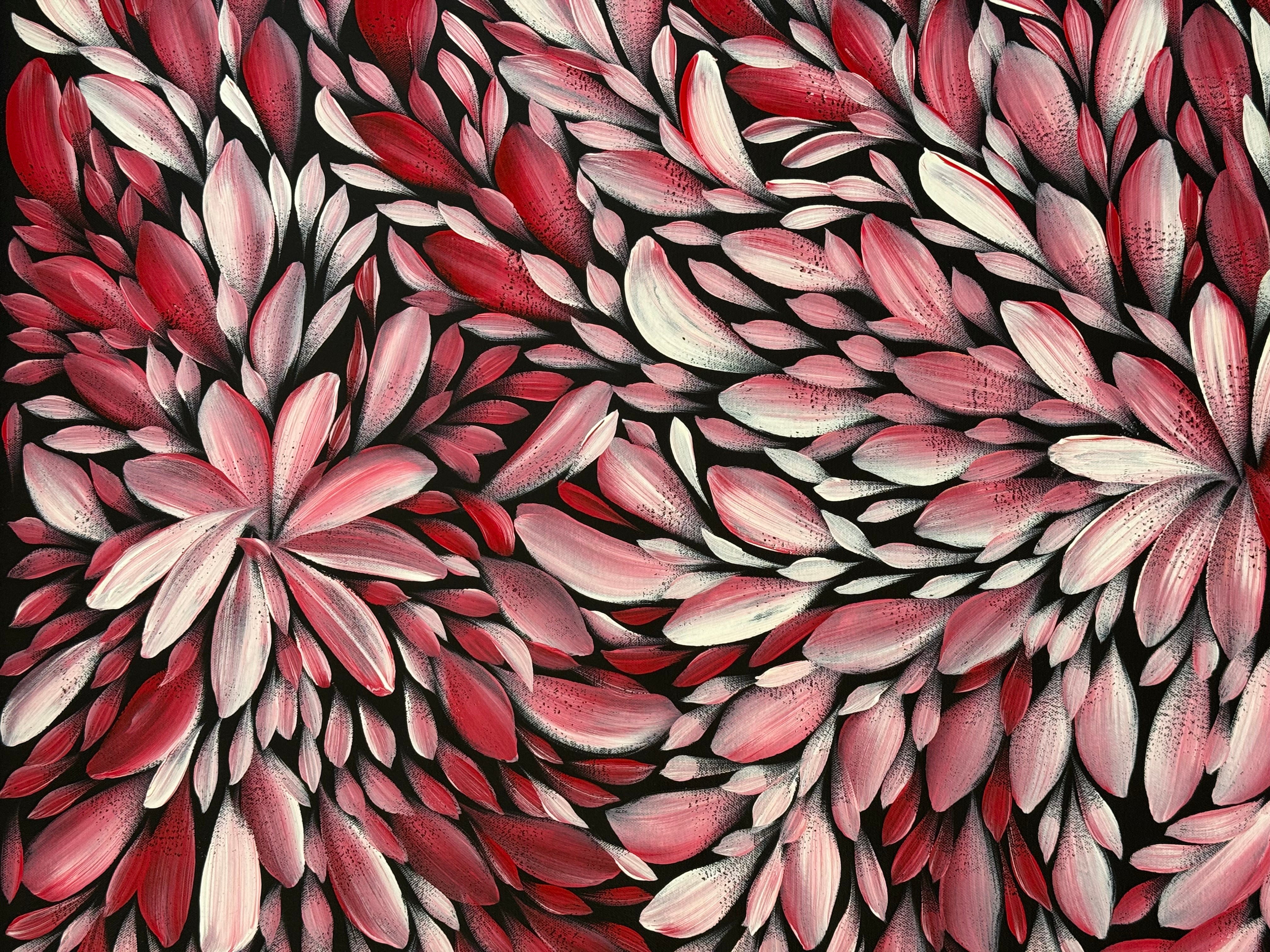 Louise Numina Napananka - Bush Medicine Leaves .21-2