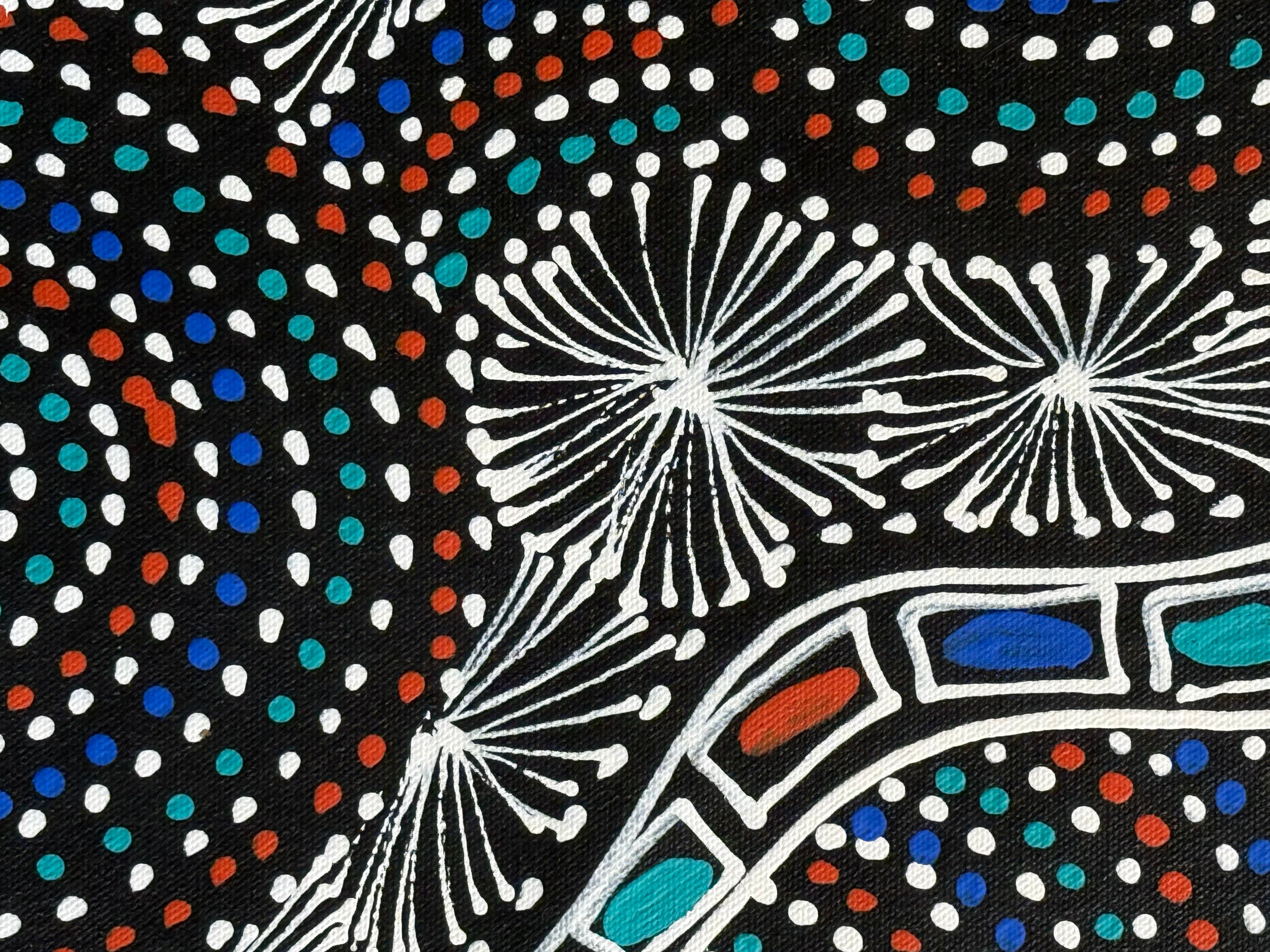 Selina Numina Kamprina - Seeds and Waterholes .05-9