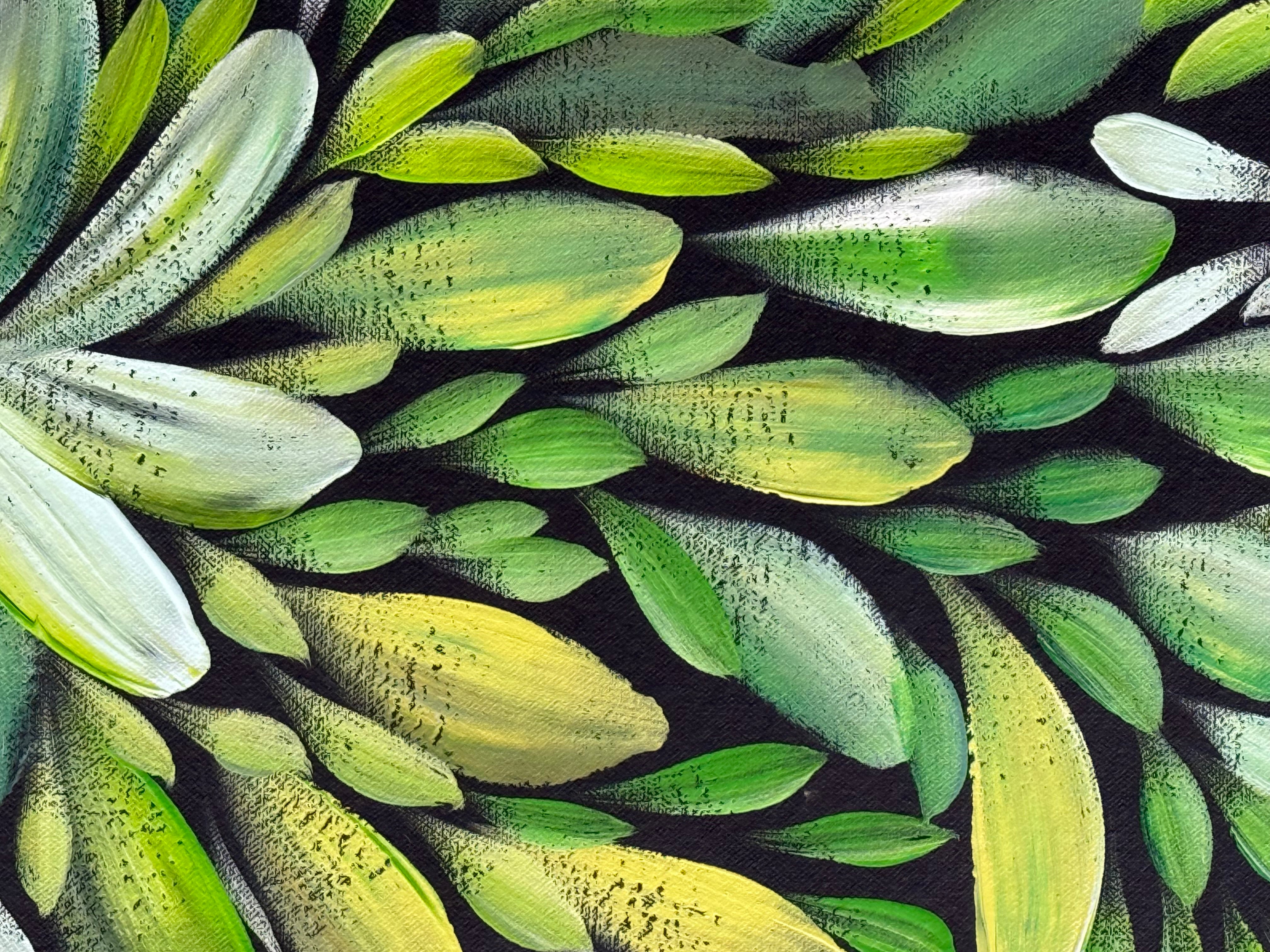 Louise Numina Napananka - Bush Medicine Leaves .22-23