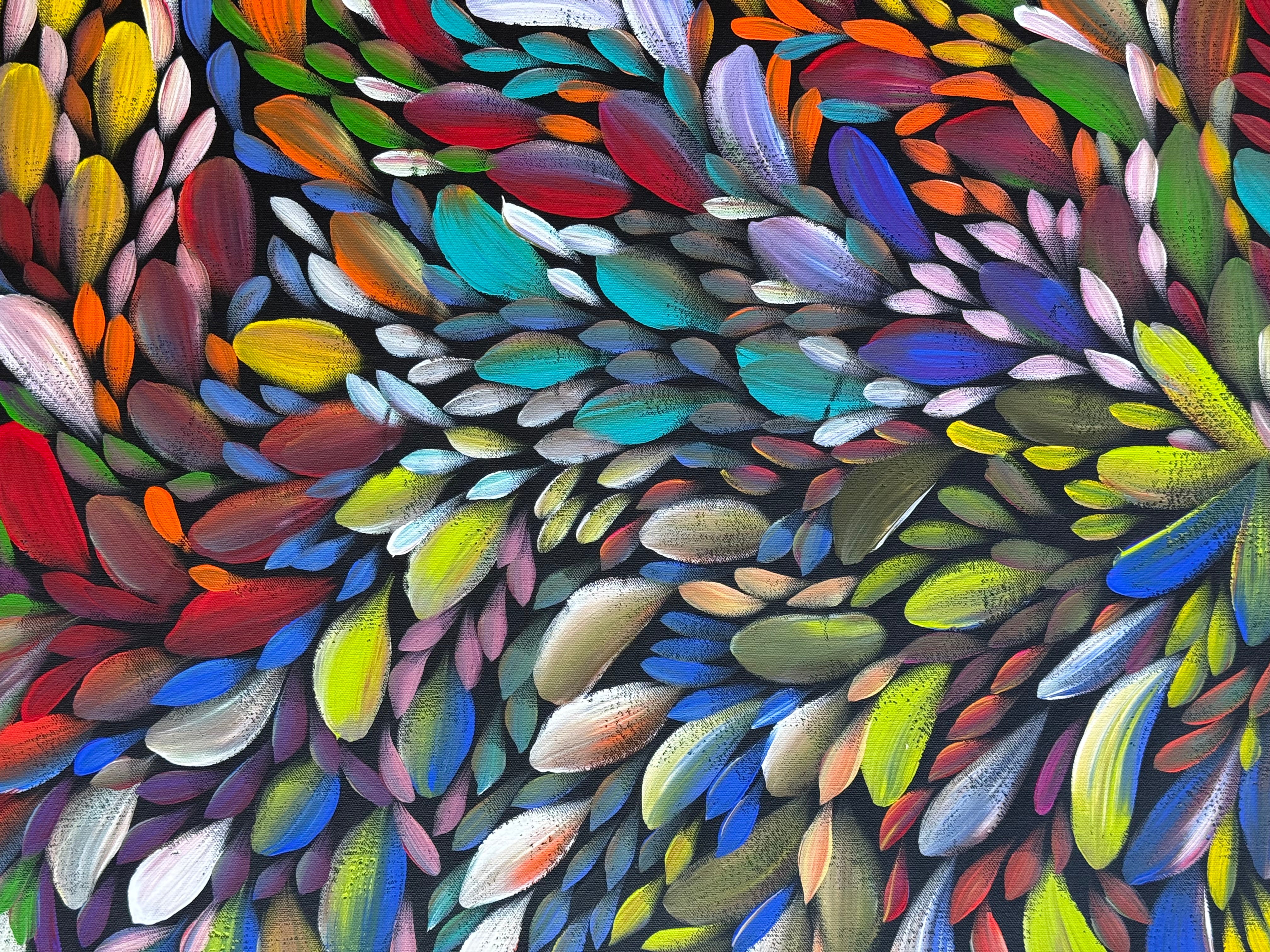 Louise Numina Napananka - Bush Medicine Leaves .65-11