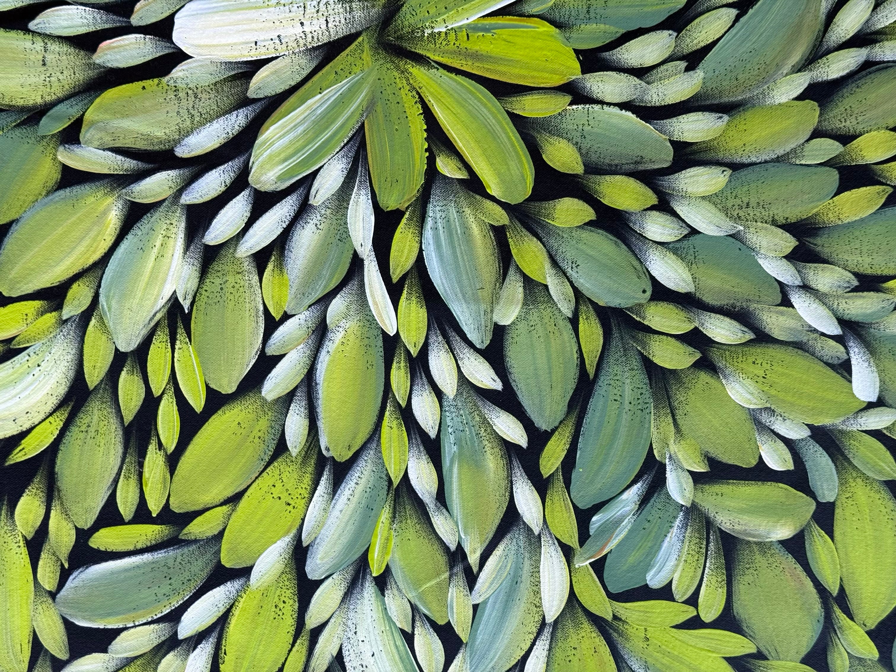 Louise Numina Napananka - Bush Medicine Leaves .49-8