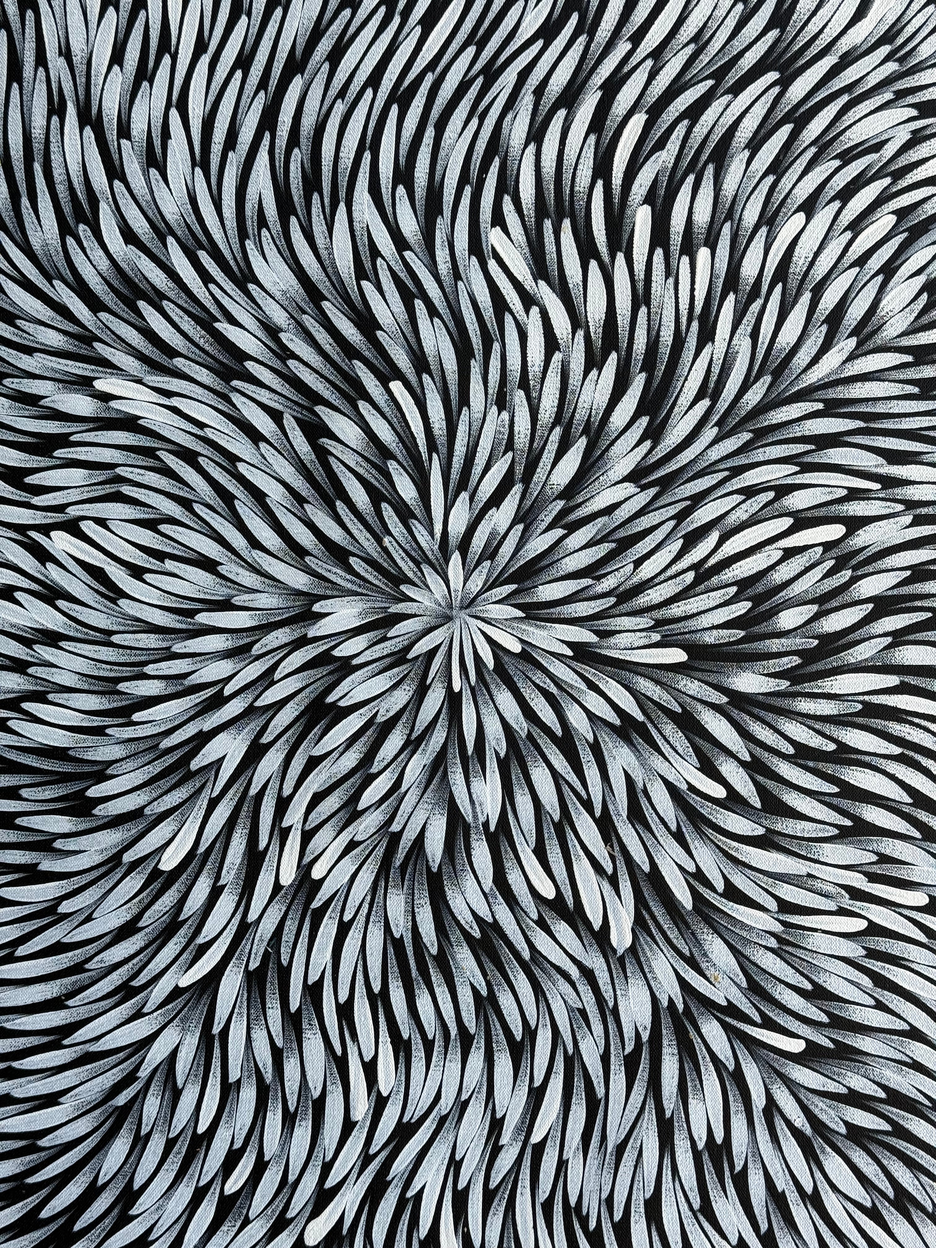 Sharon Numina - Bush Medicine Leaves .01-7