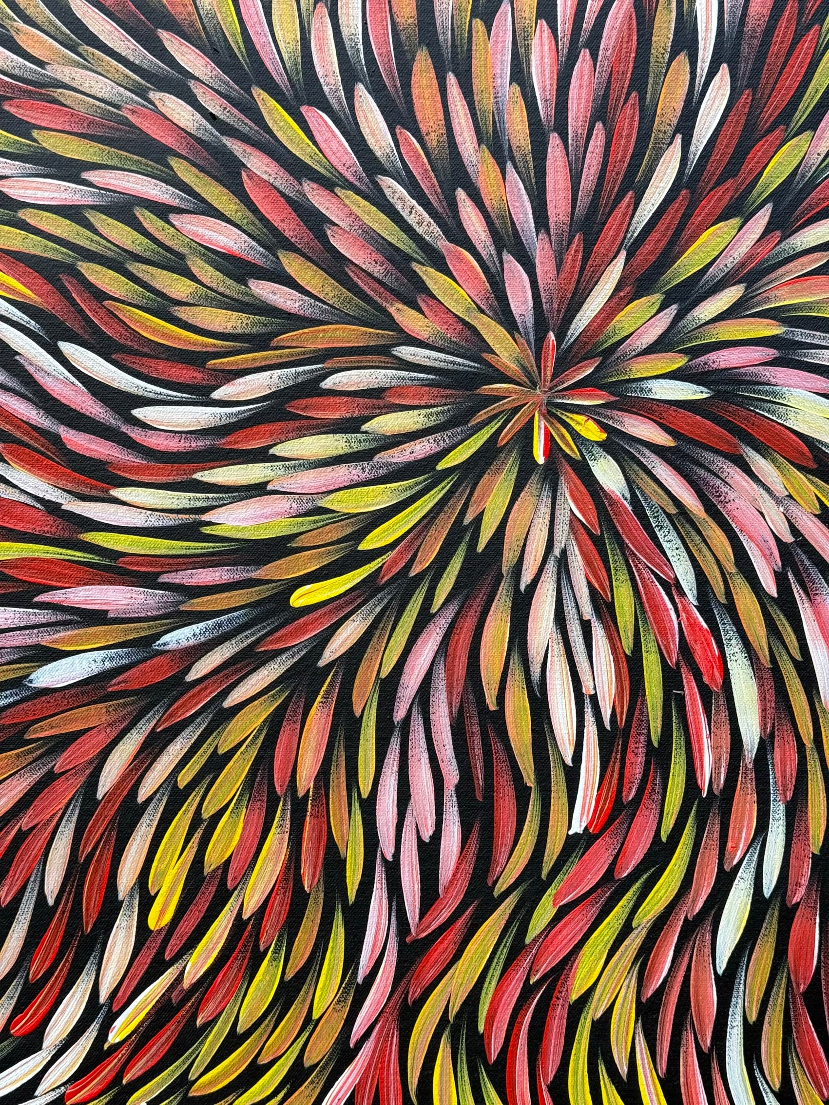 Sharon Numina - Bush Medicine Leaves .68-5