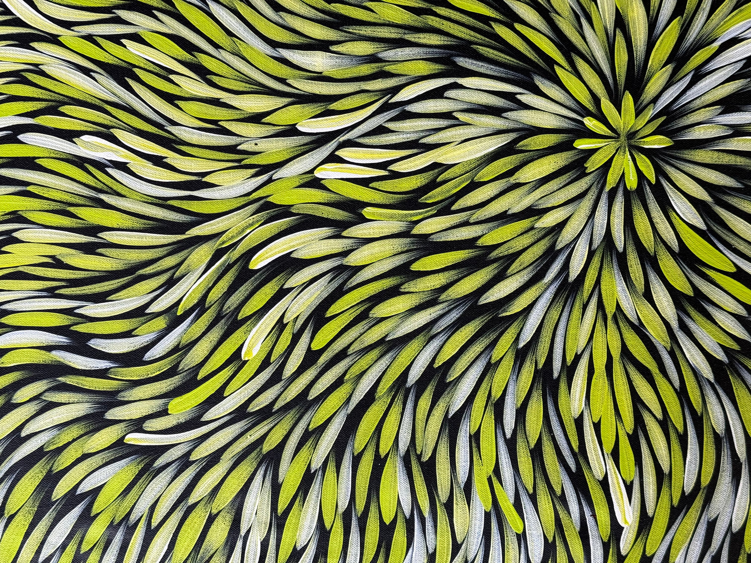 Sharon Numina - Bush Medicine Leaves - 69x92cm .14-23