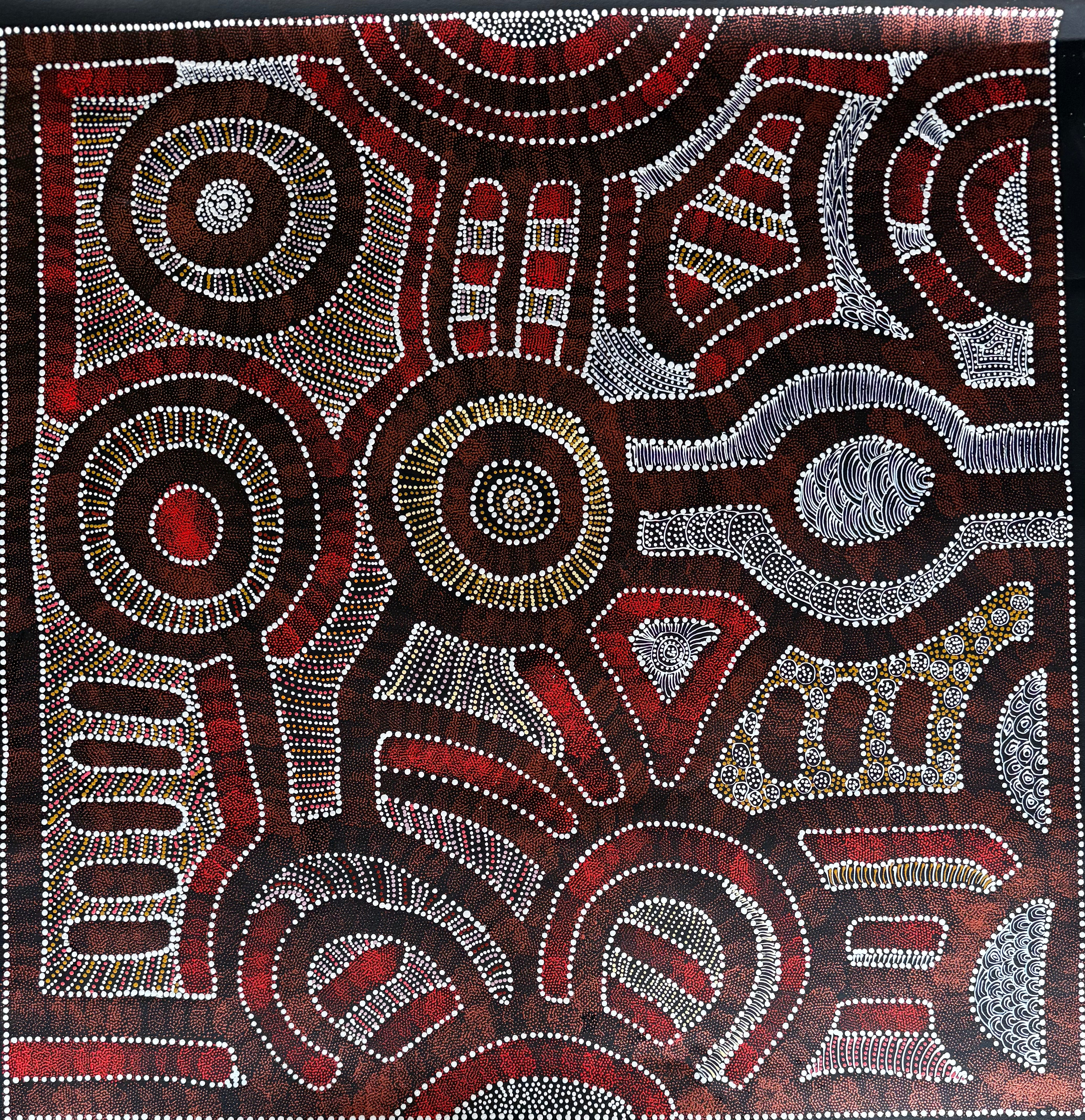 Caroline Numina - My Country, Thorny Lizard Dreaming .35-5