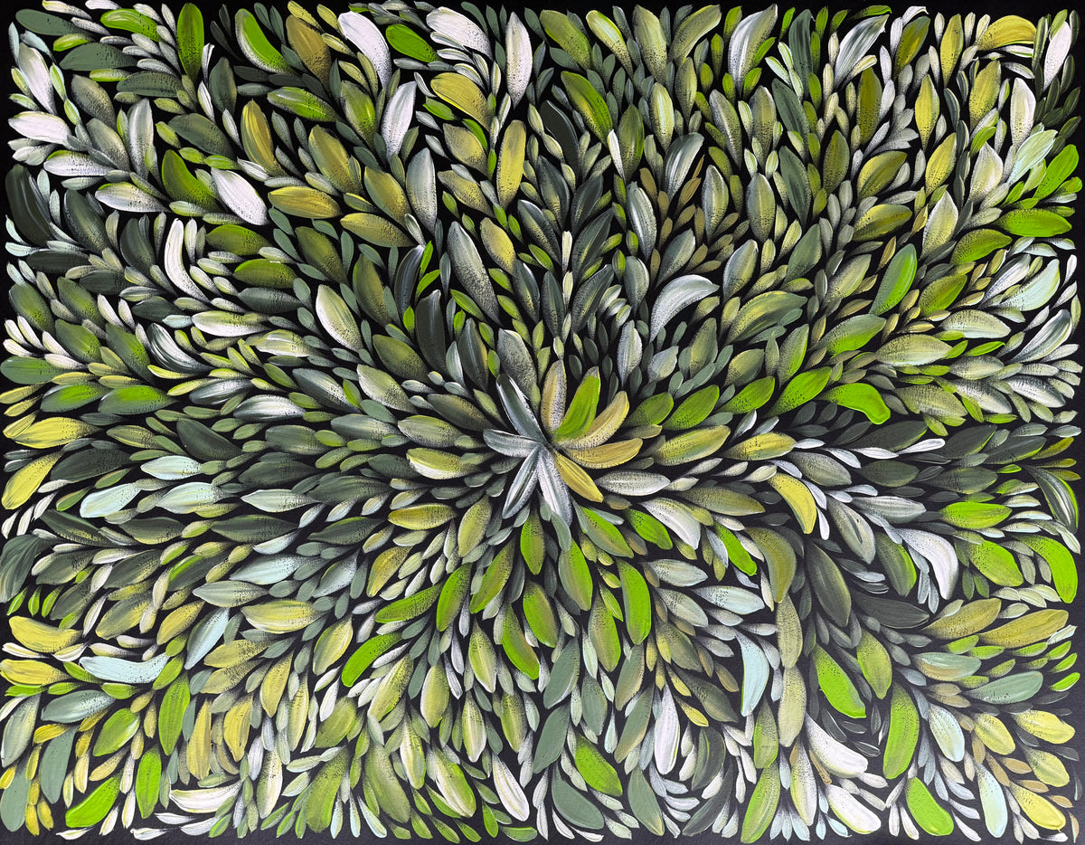 Louise Numina Napananka - Bush Medicine Leaves .22-25