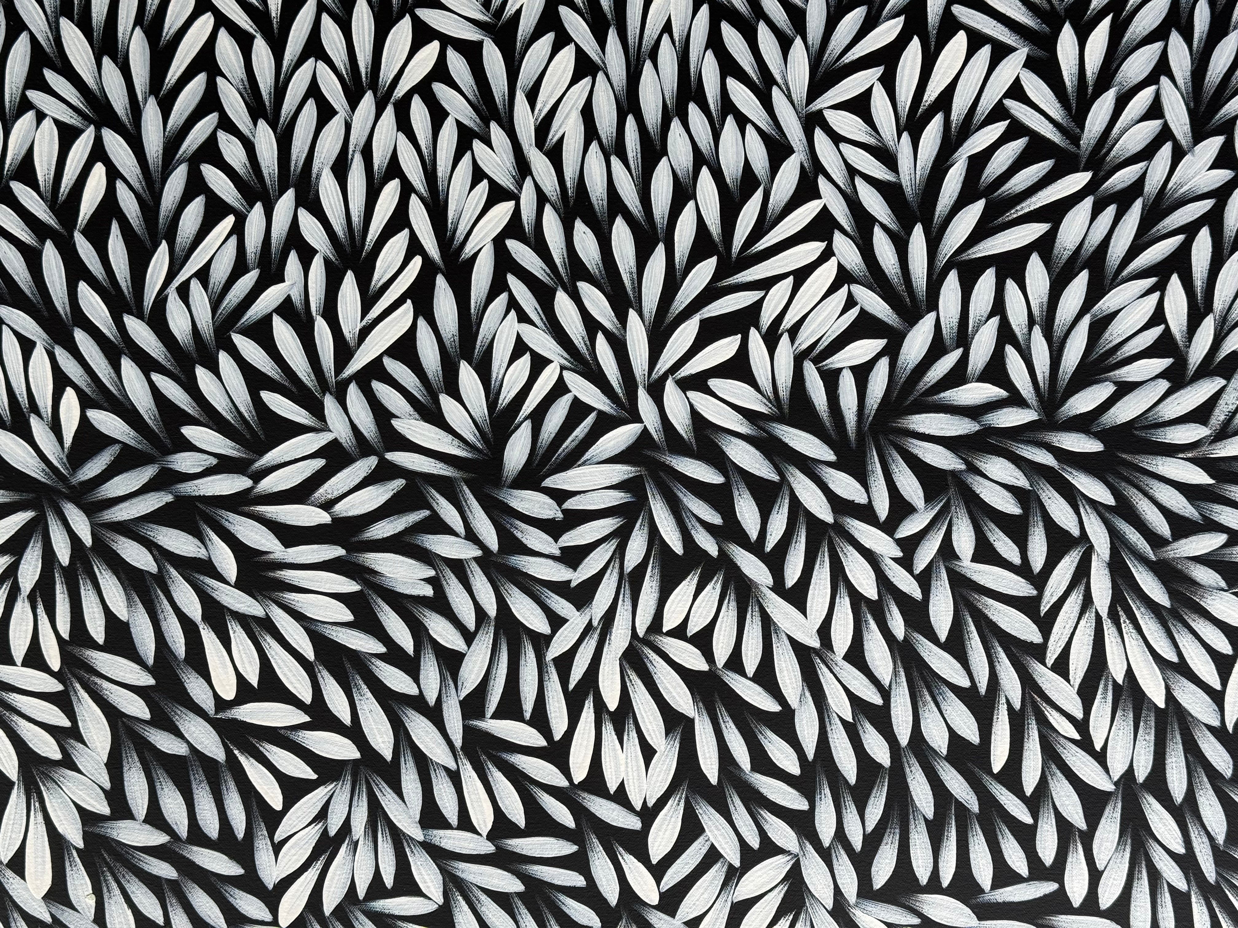 Sharon Numina - Bush Medicine Leaves .50-8