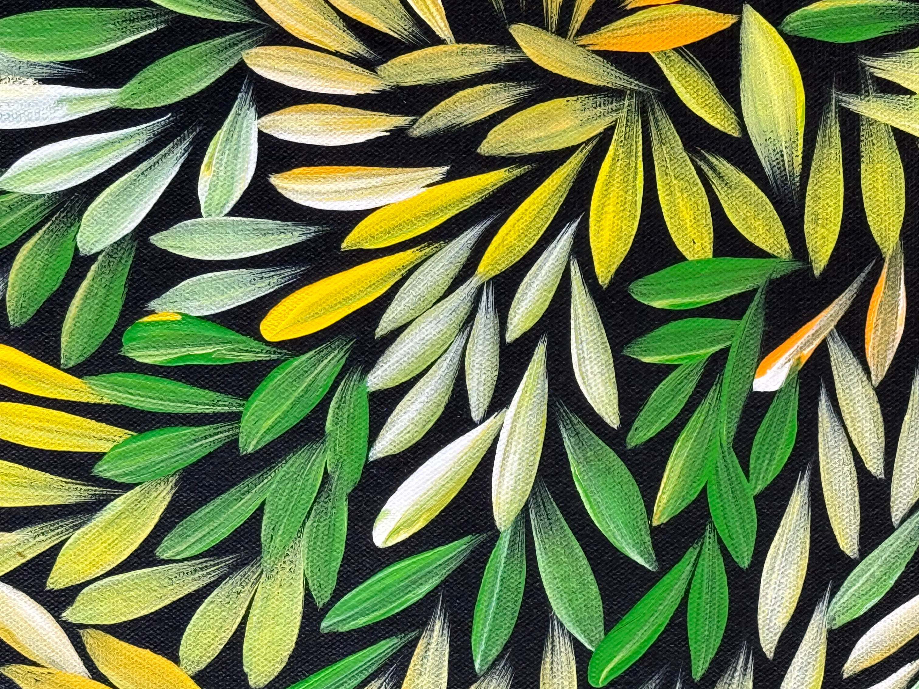 Sharon Numina - Bush Medicine Leaves - 69x89cm .14-61