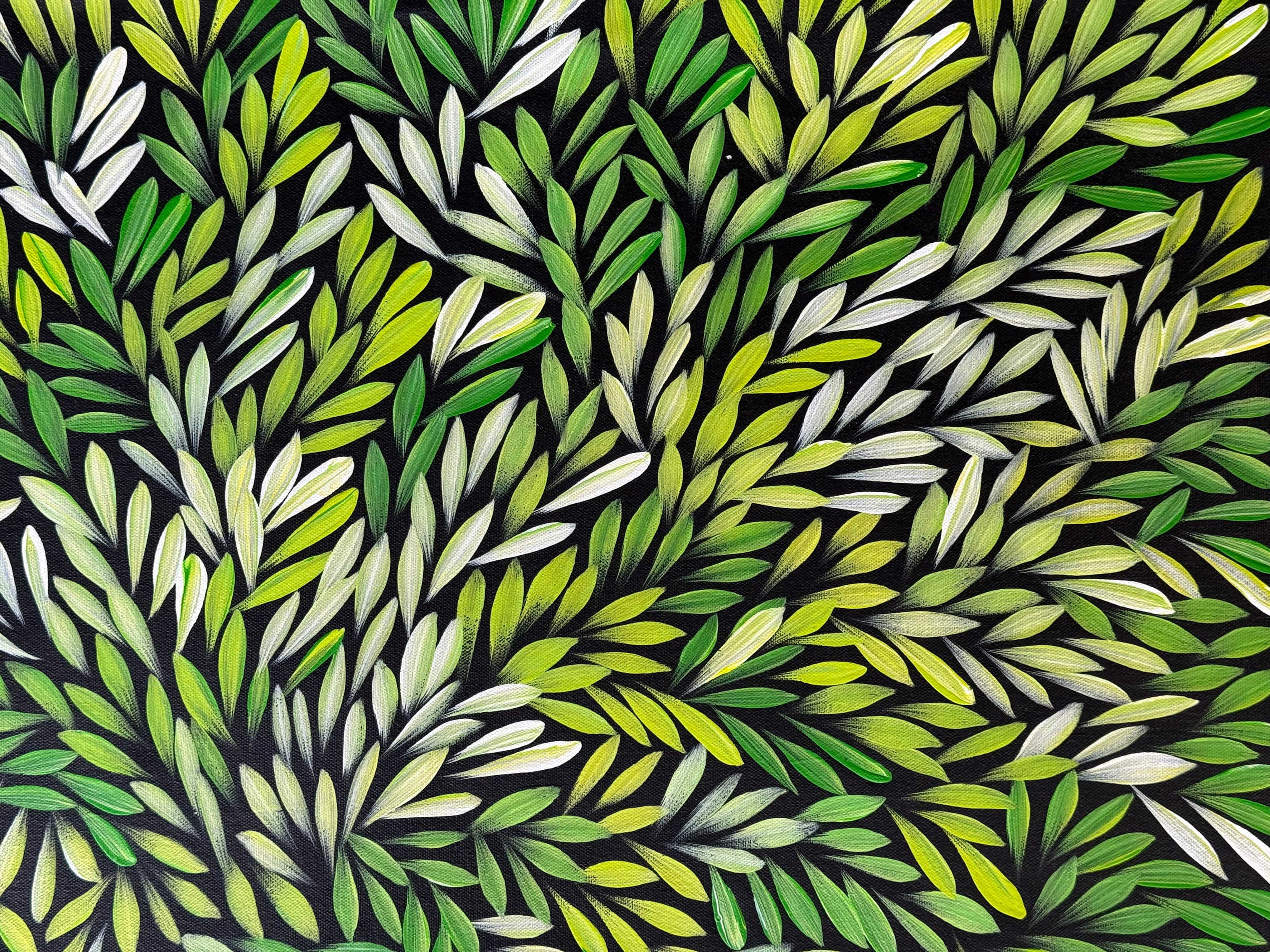 Sharon Numina - Bush Medicine Leaves - 69x90cm .14-37