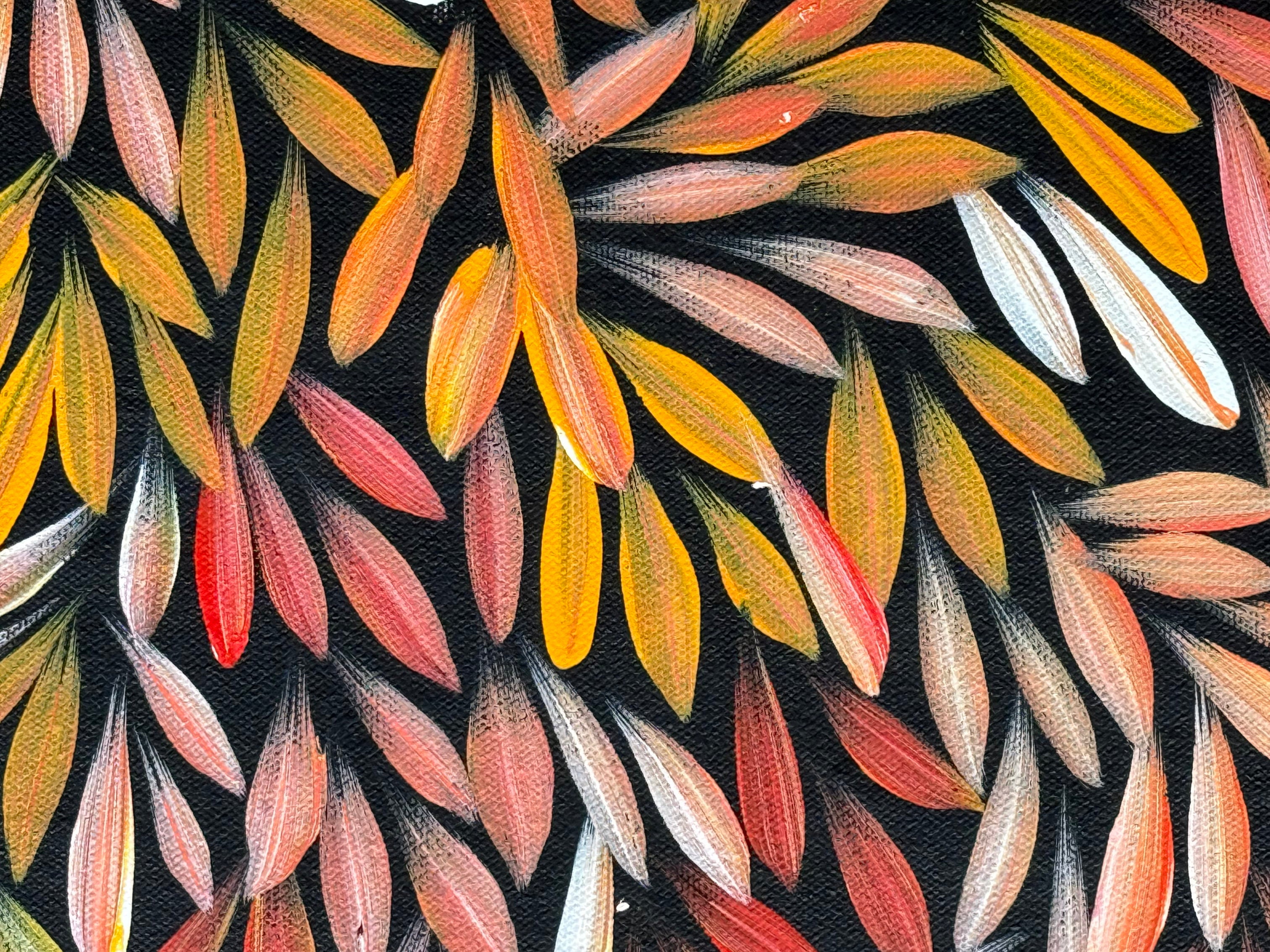 Sharon Numina - Bush Medicine Leaves - 70x94cm .14-45
