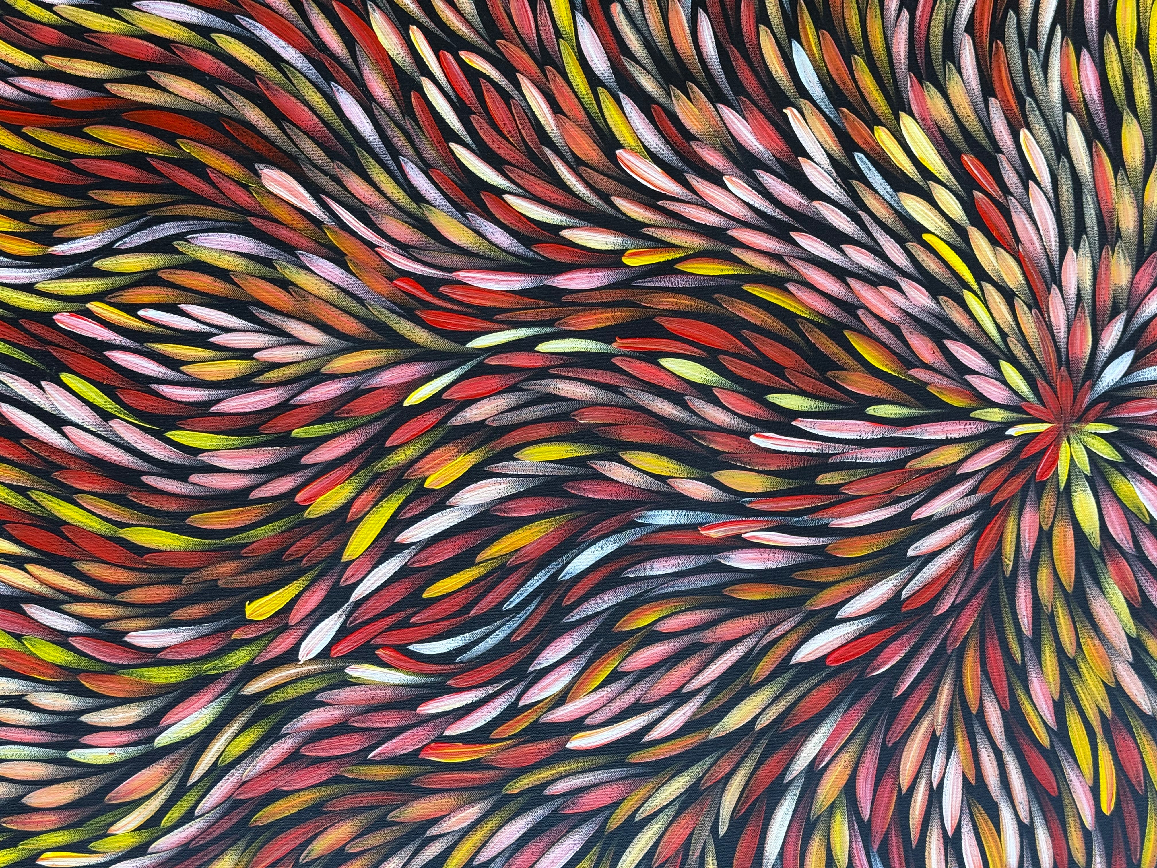 Sharon Numina - Bush Medicine Leaves .83-4