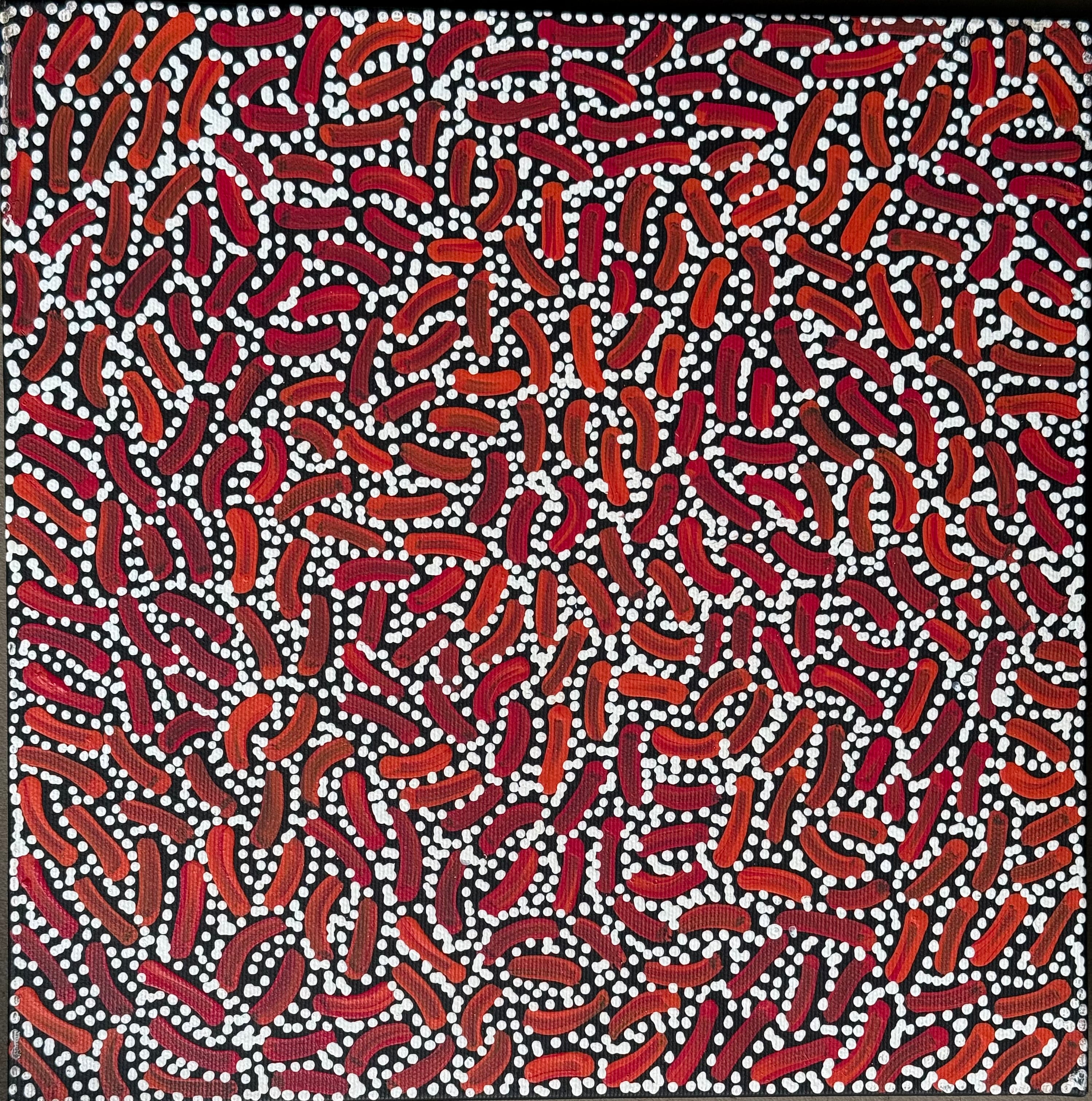 Nathania Nangala Granites - Warlukurlangu Jukurrpa (Fire Country Dreaming) - Stretched