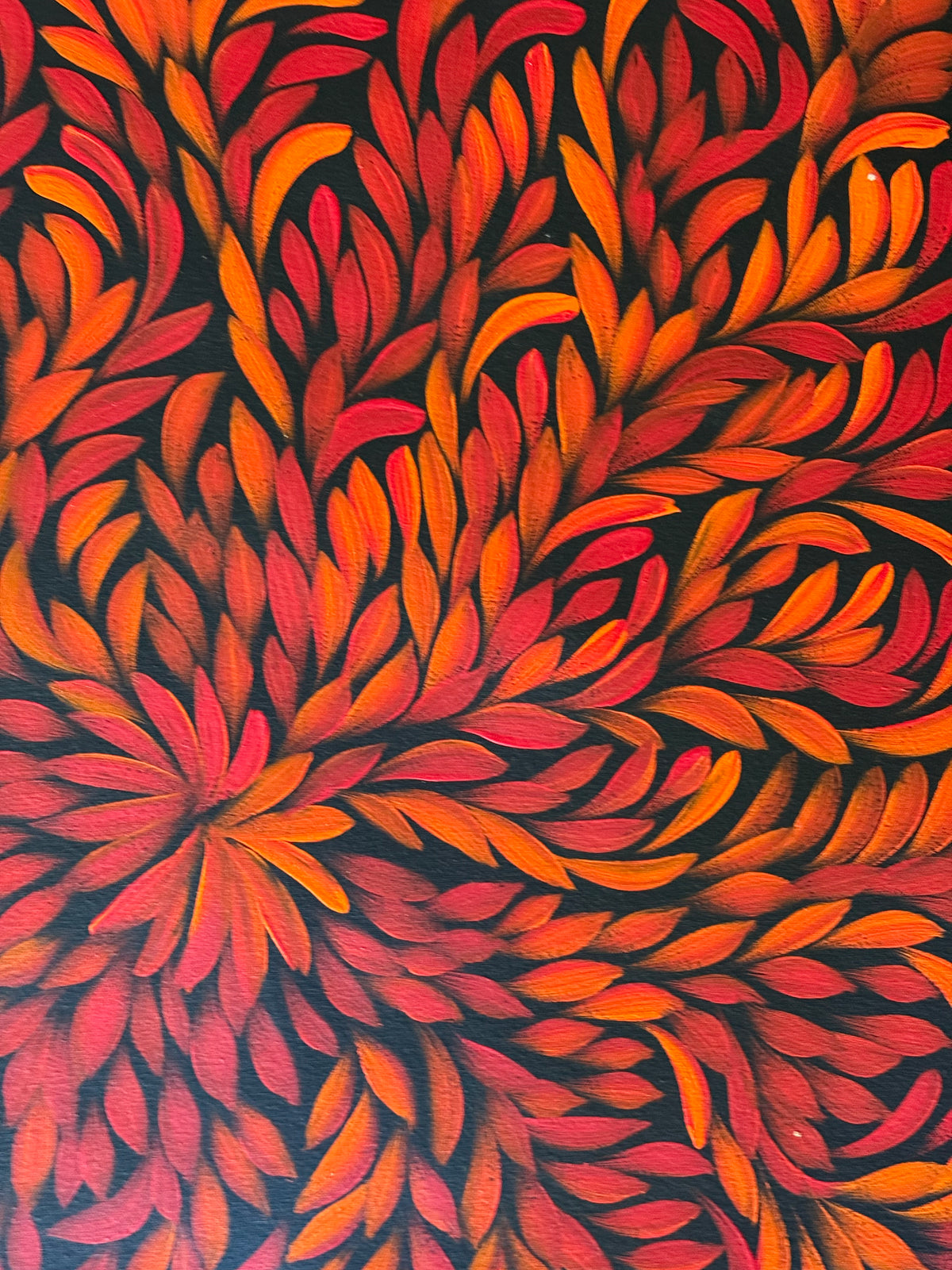 Louise Numina Napananka - Bush Medicine Leaves .36-15