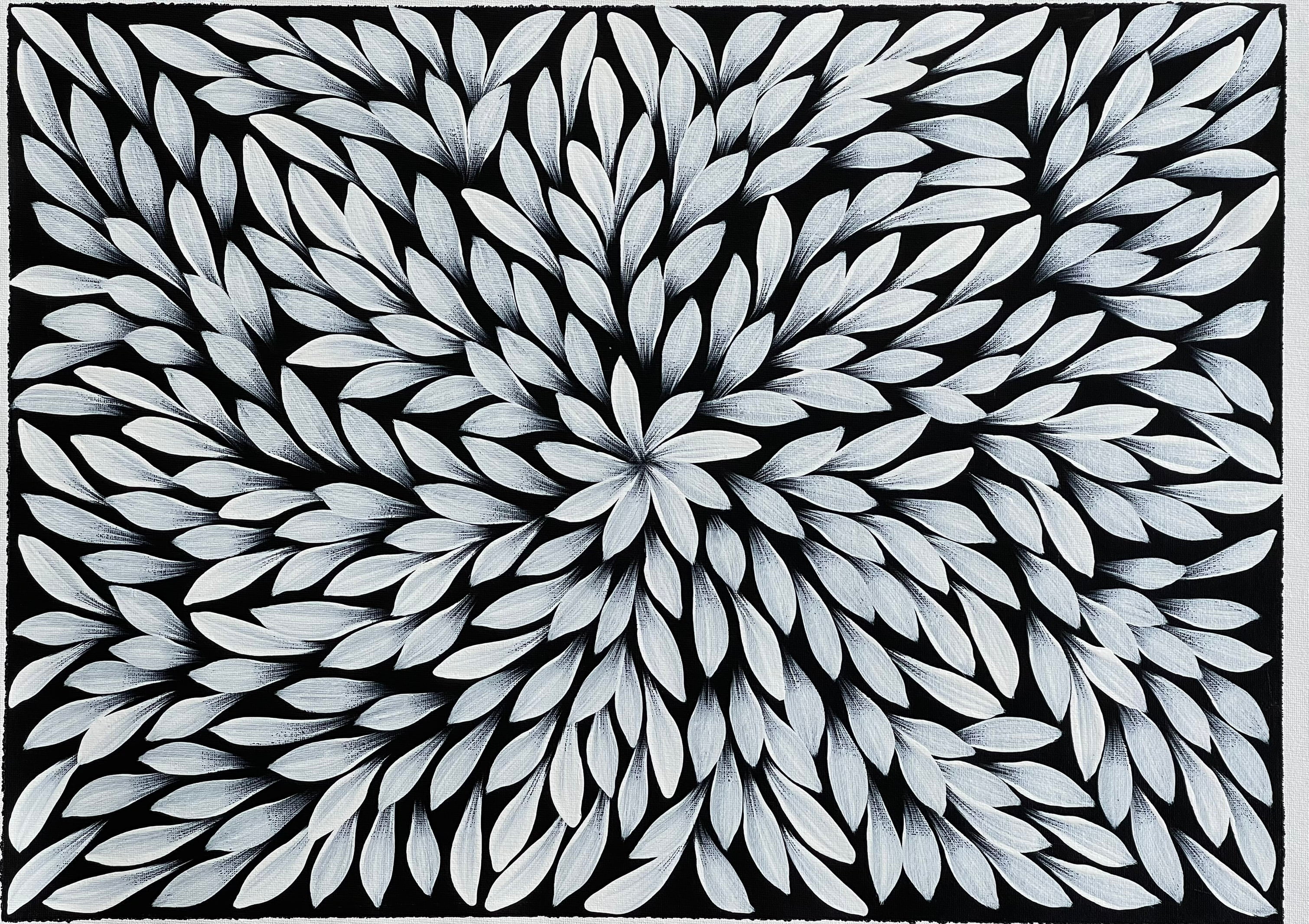 Jacinta Numina - Bush Medicine Leaves - 38x53cm .39-14