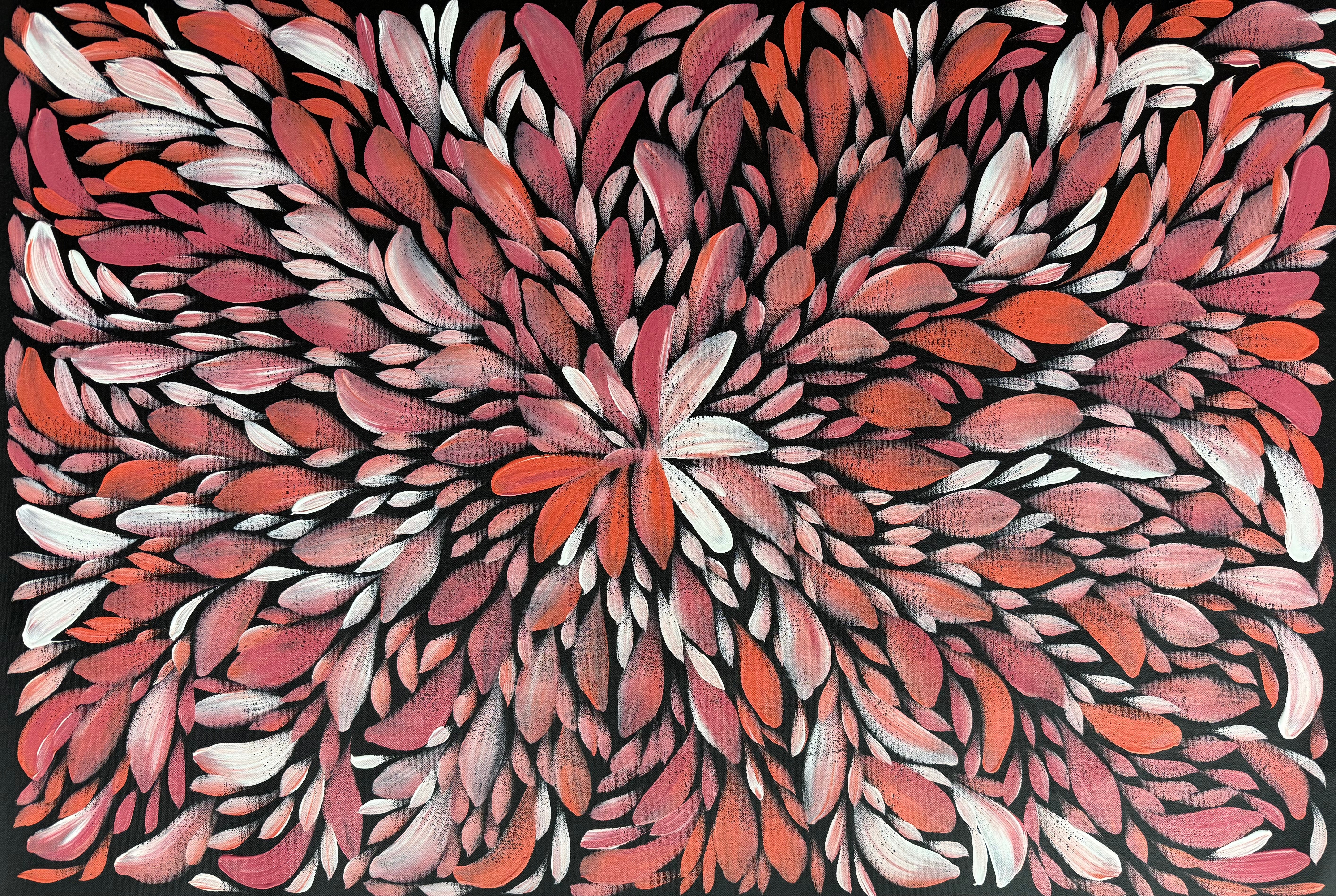 Louise Numina Napananka - Bush Medicine Leaves .30-11