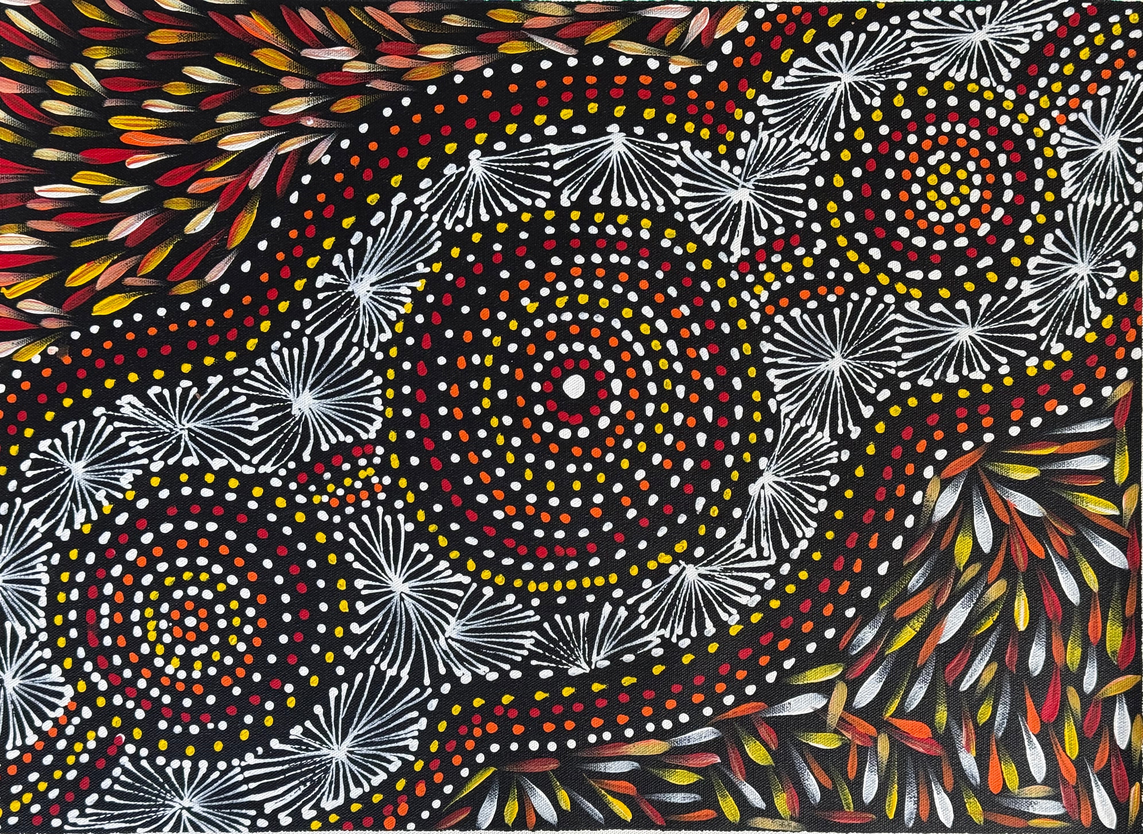 Selina Numina Kamprina - Seeds and Waterholes .05-5