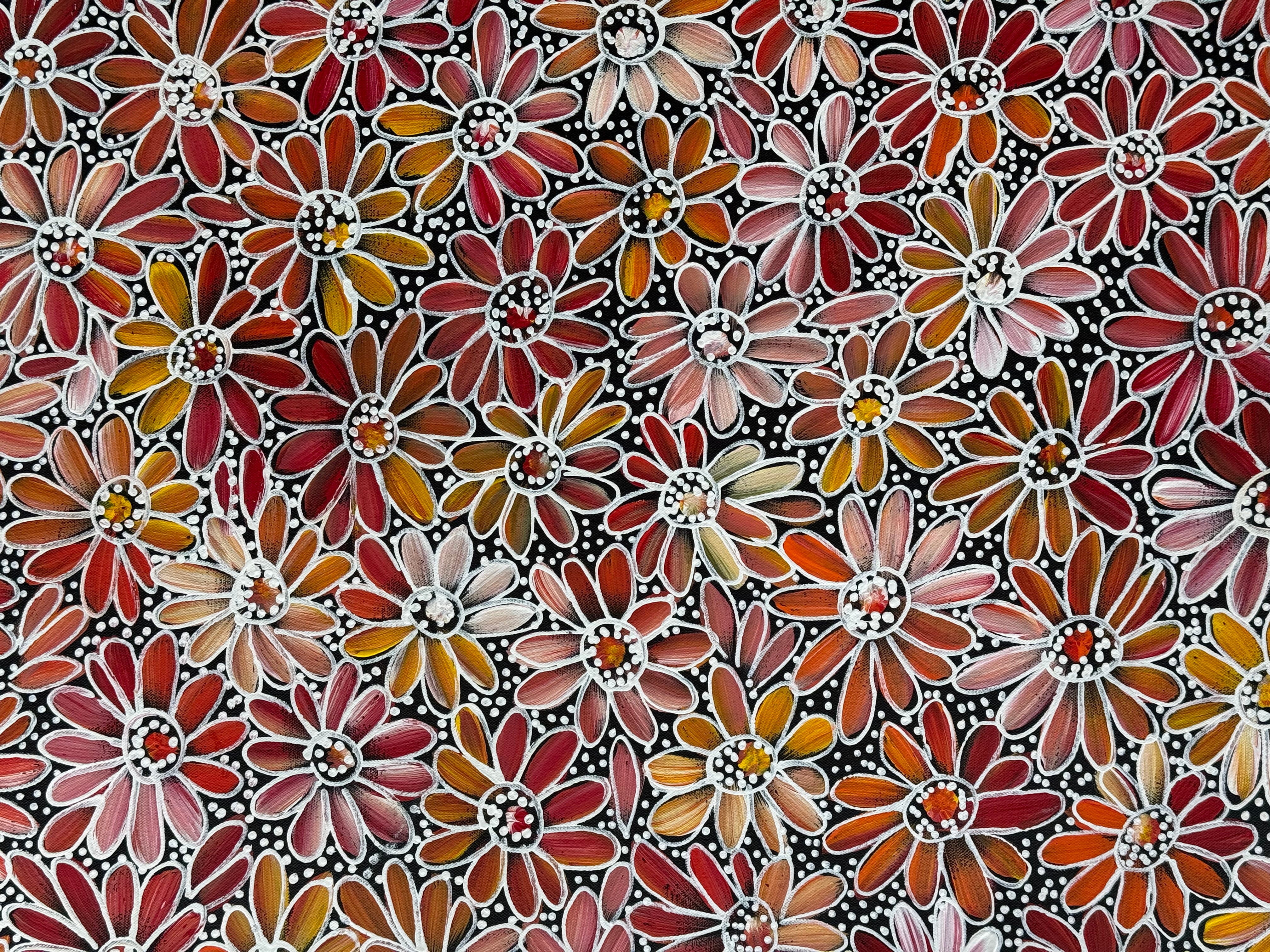 Louise Numina Napananka - Bush Medicine Flowers .90-24