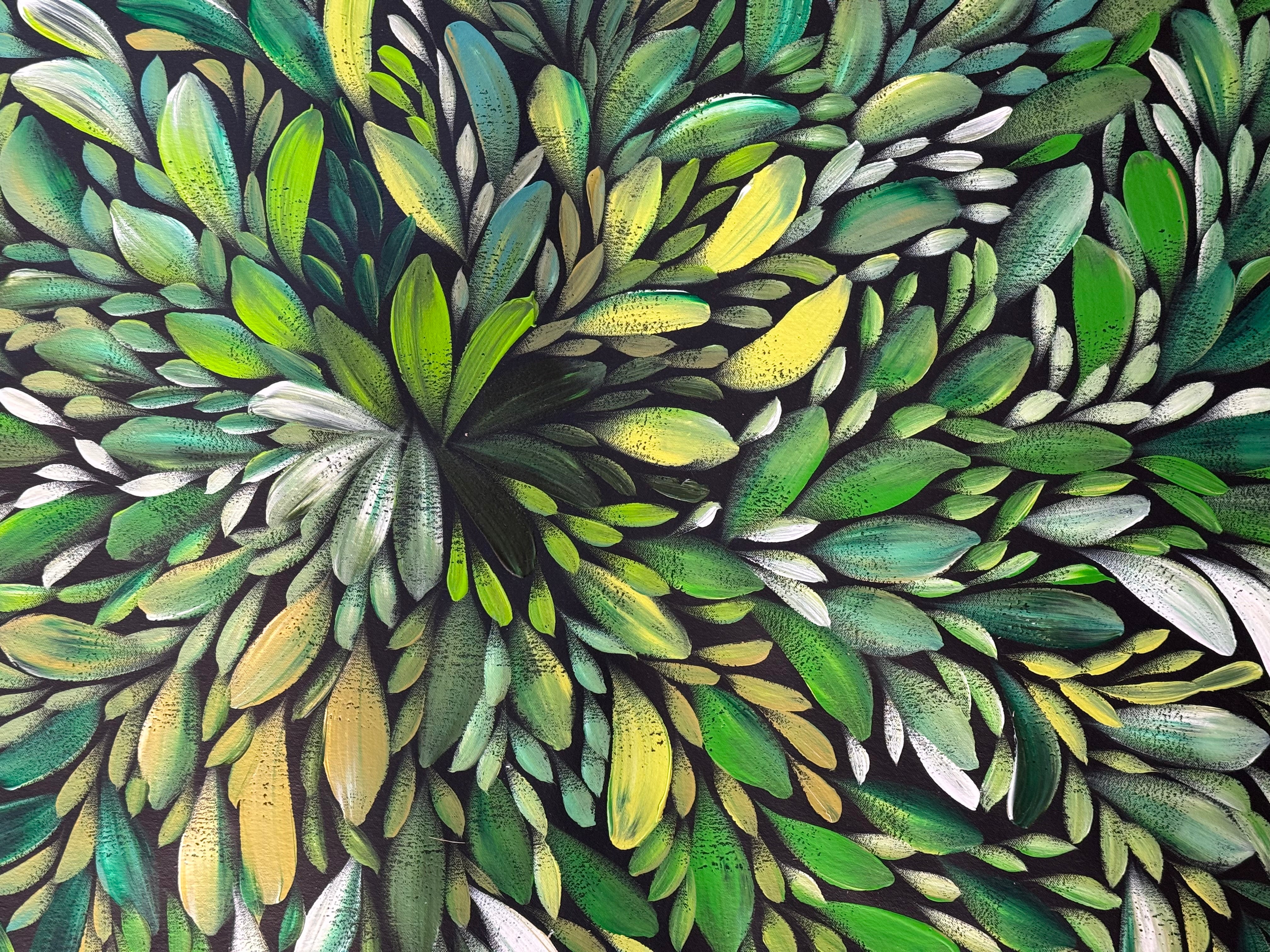 Louise Numina Napananka - Bush Medicine Leaves .22-11