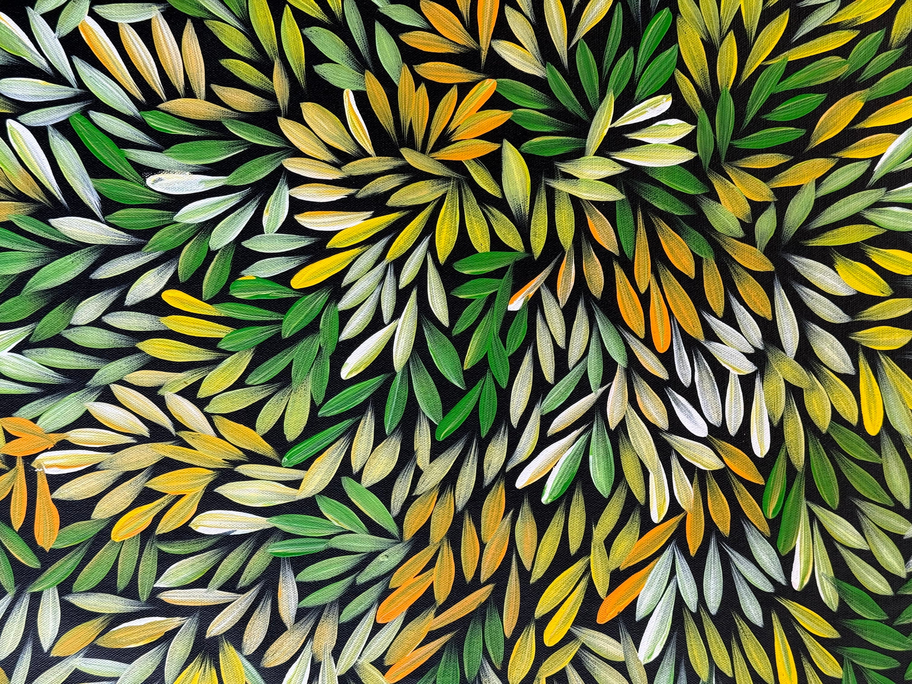 Sharon Numina - Bush Medicine Leaves - 69x89cm .14-61