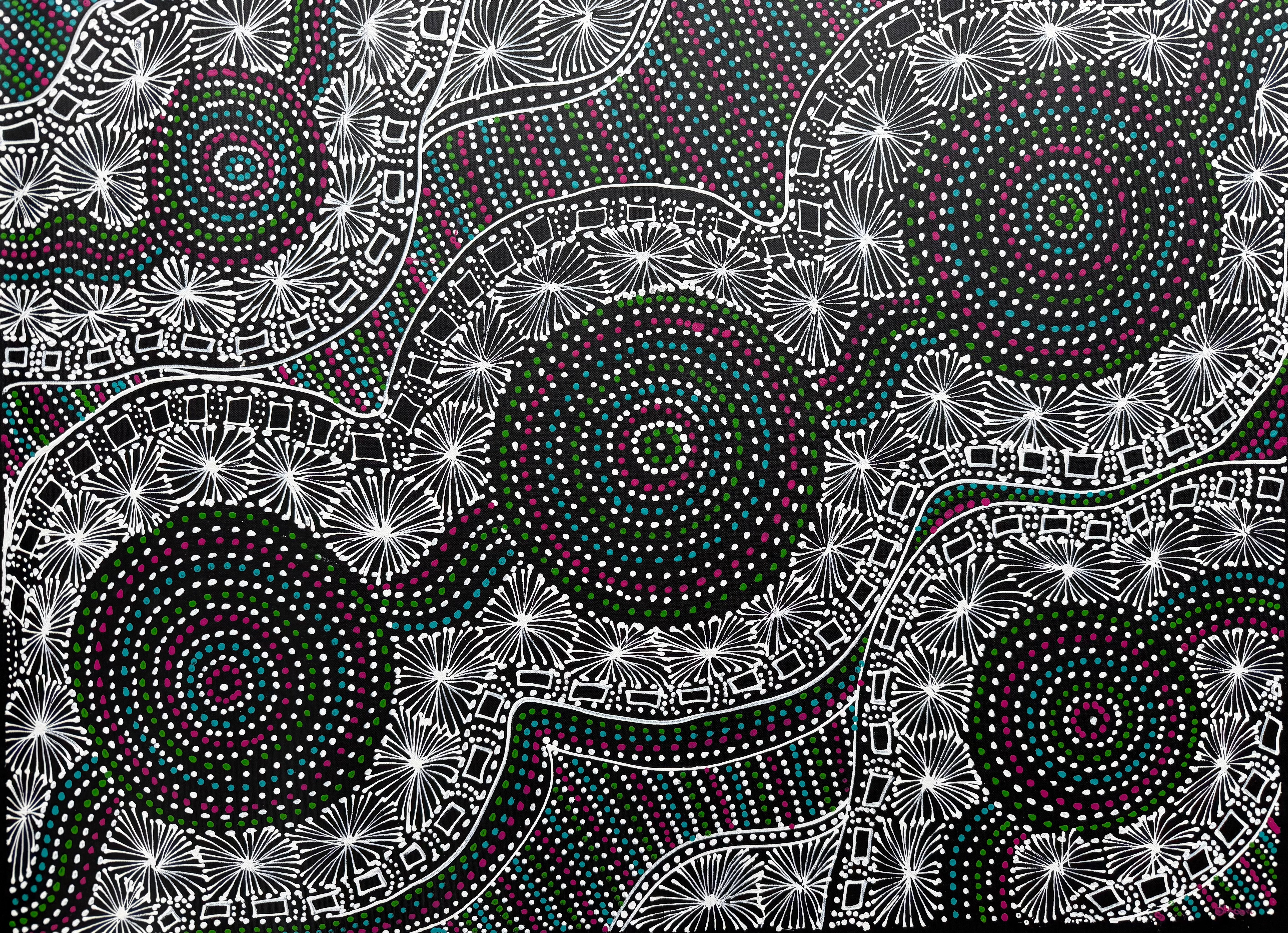 Selina Numina Kamprina - Seeds and Waterholes .92-2