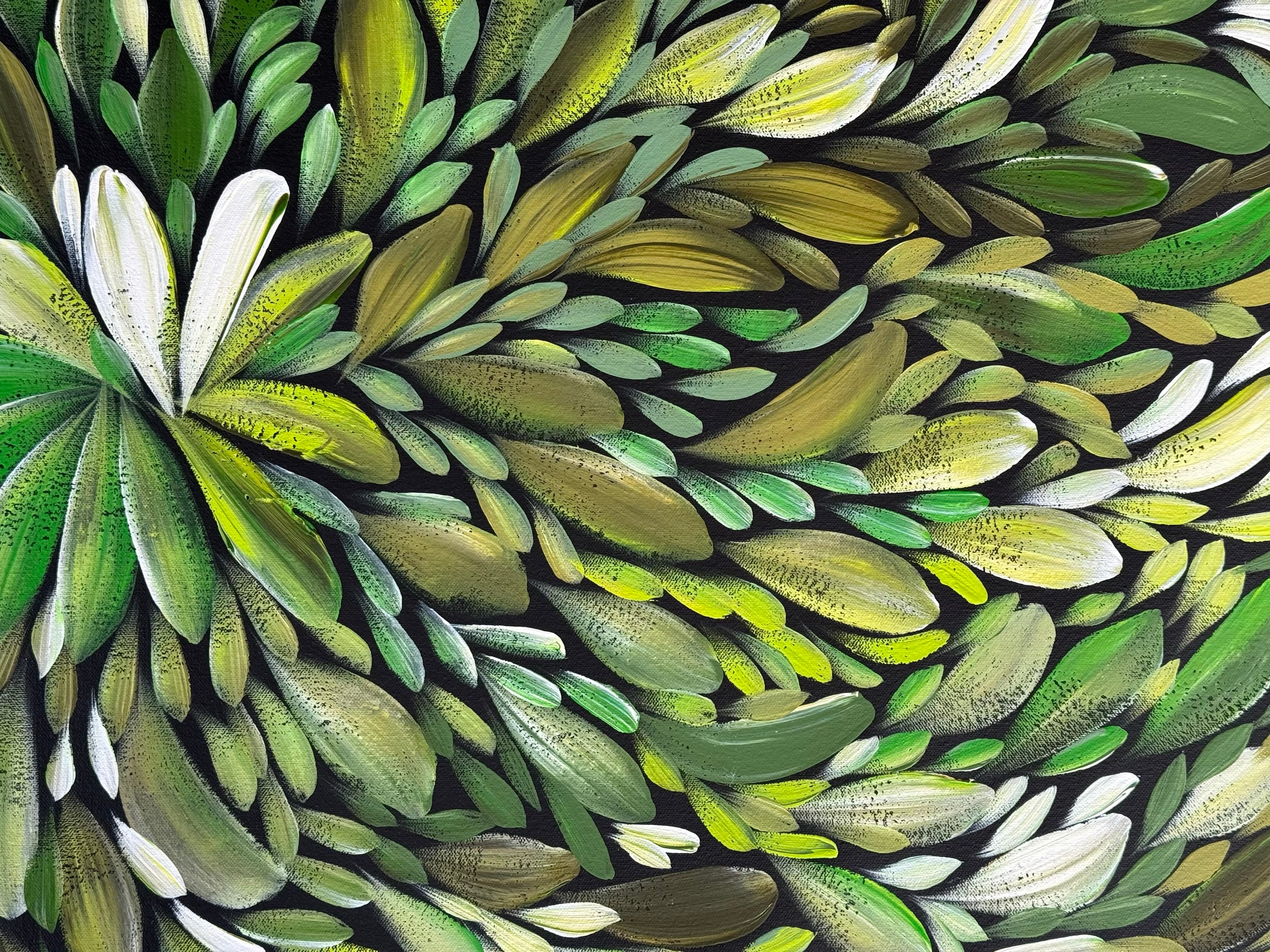 Louise Numina Napananka - Bush Medicine Leaves .65-1