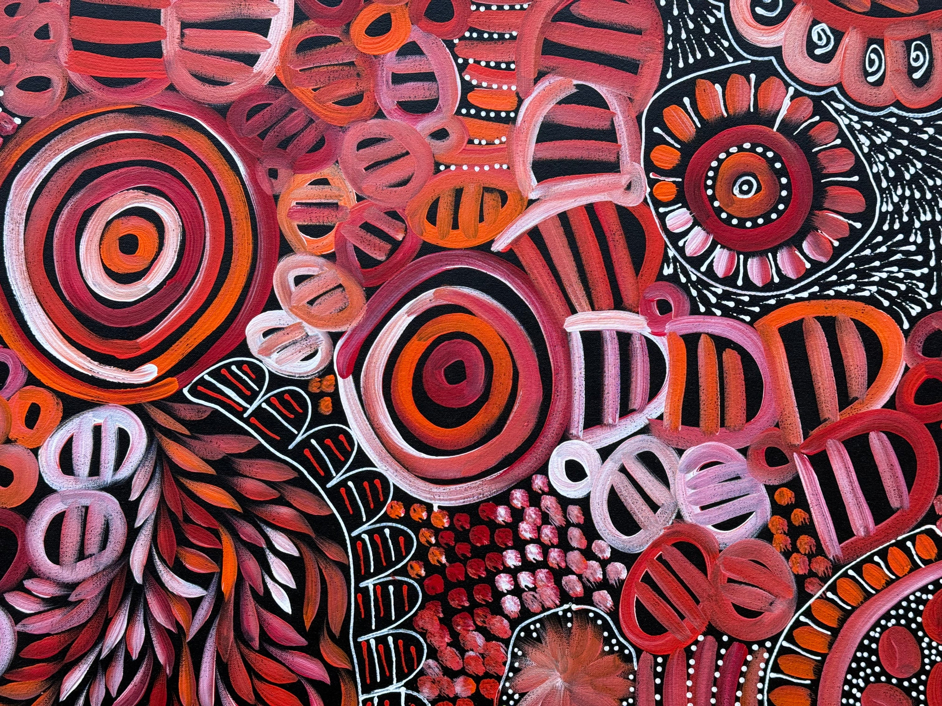 Louise Numina Napananka - Dreamtime Story .41-4