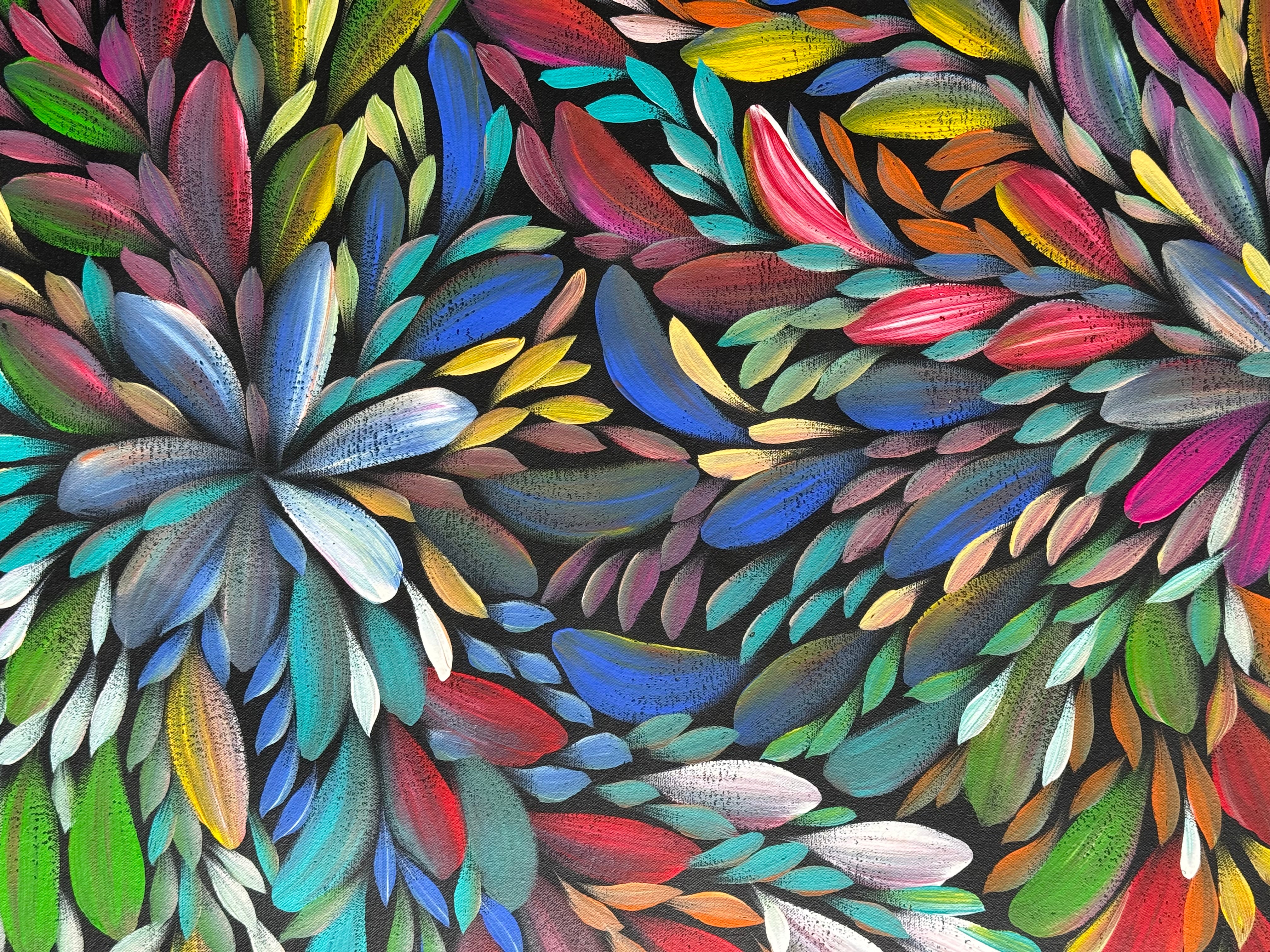 Louise Numina Napananka - Bush Medicine Leaves .09-5