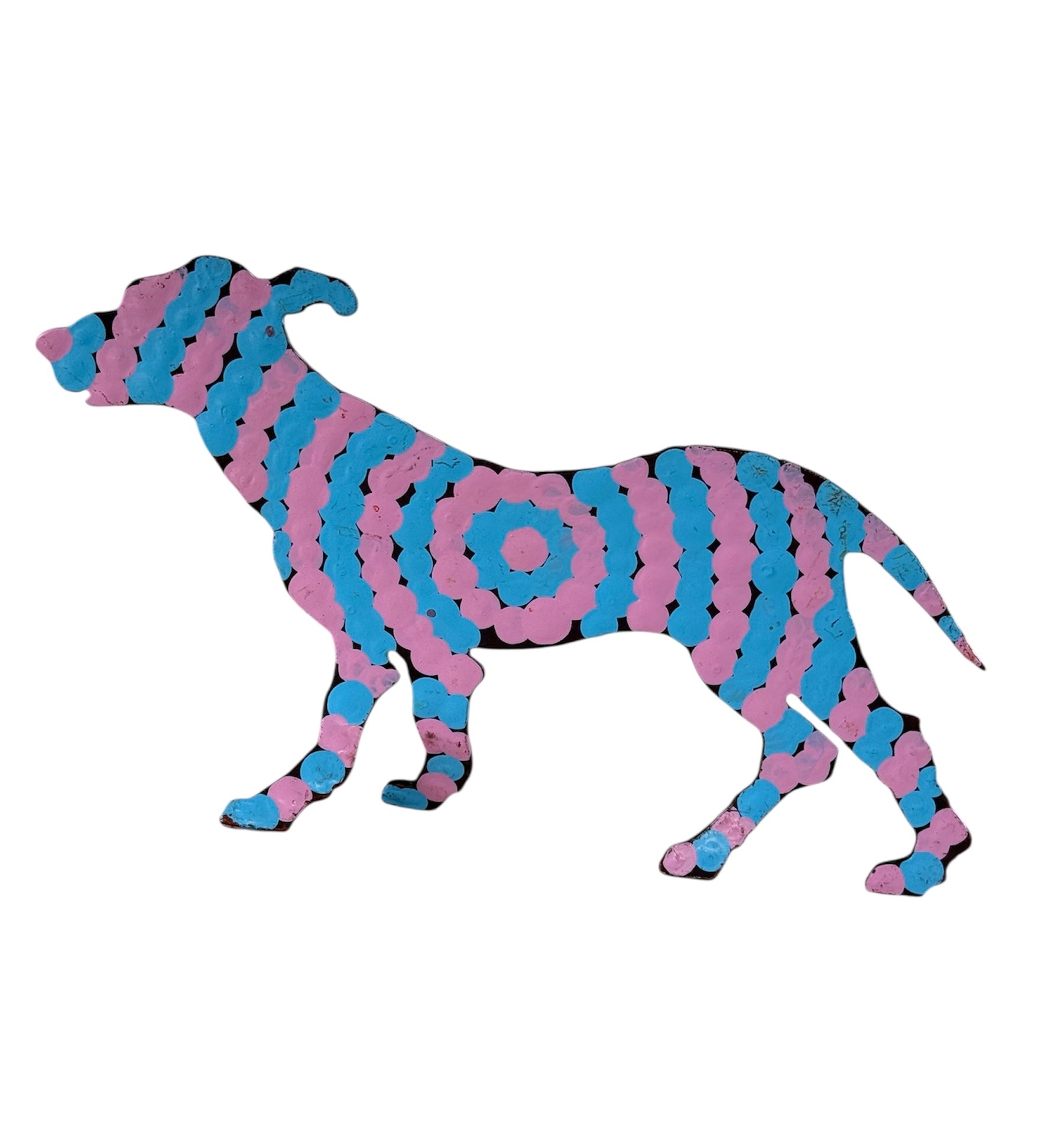 Aussie Desert Dog - Bob