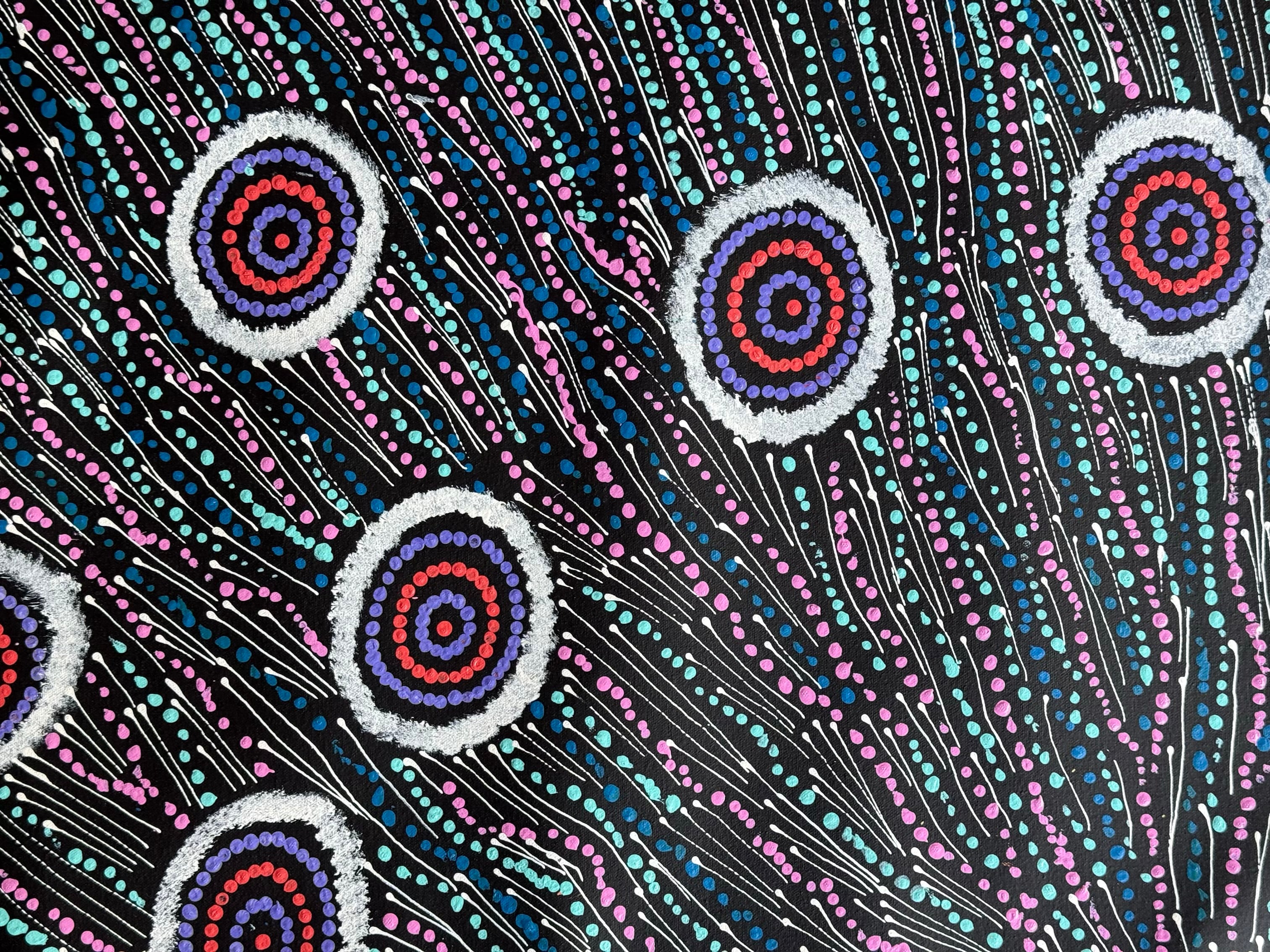 Maria Nampijinpa Brown - Seven Sisters Dreaming .71