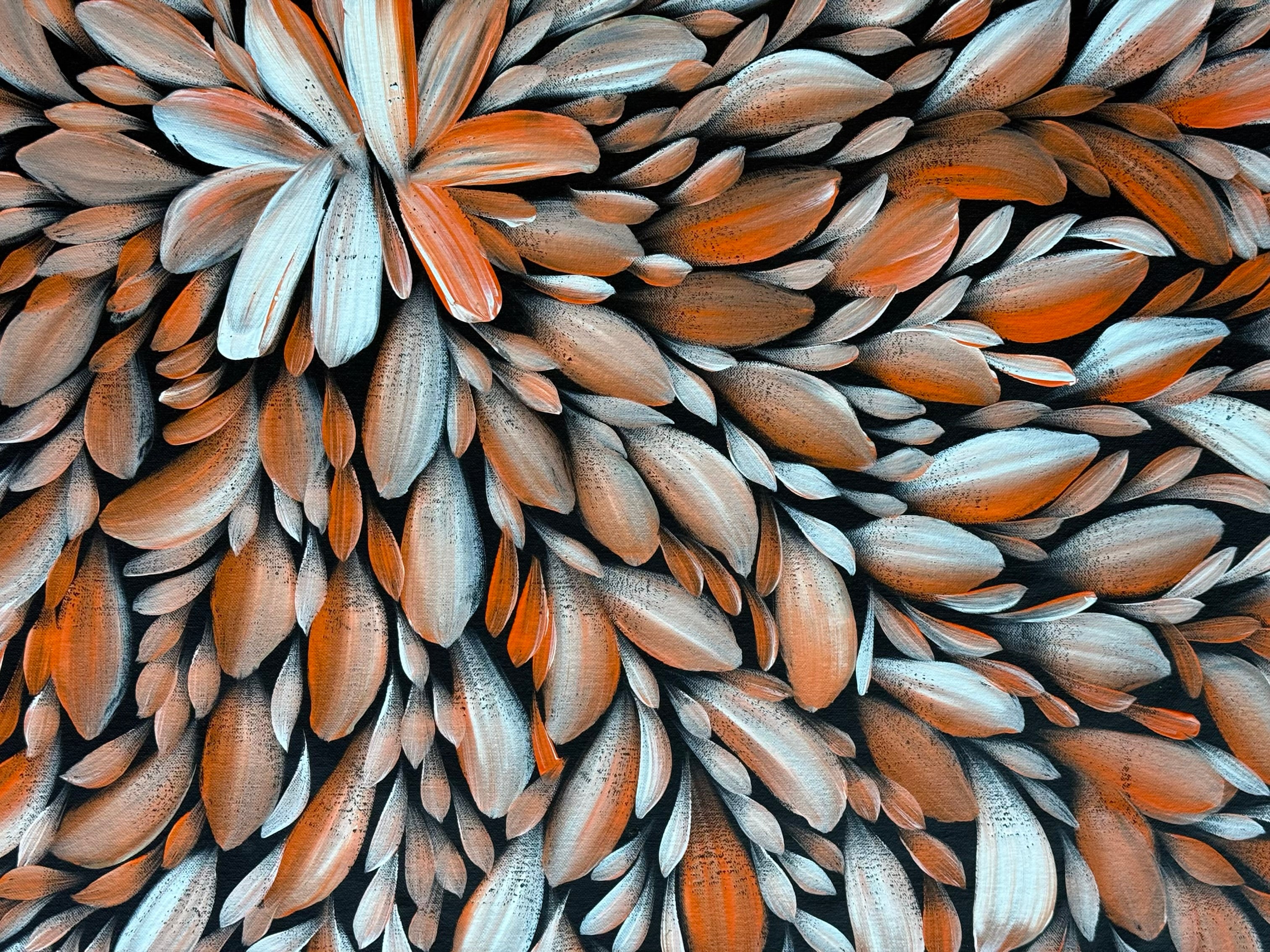 Louise Numina Napananka - Bush Medicine Leaves .49-10