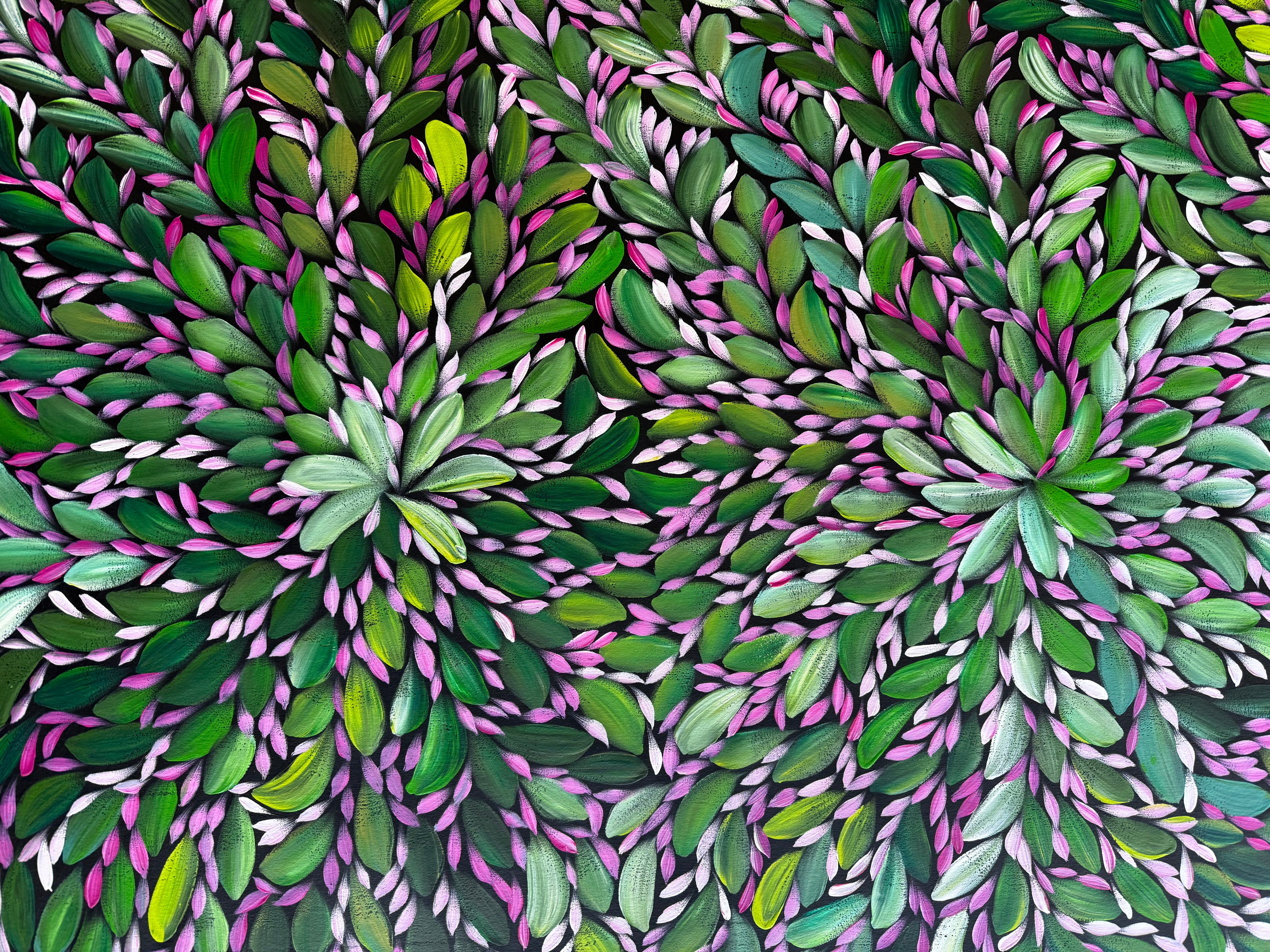 Louise Numina Napananka - Bush Medicine Leaves .43-14