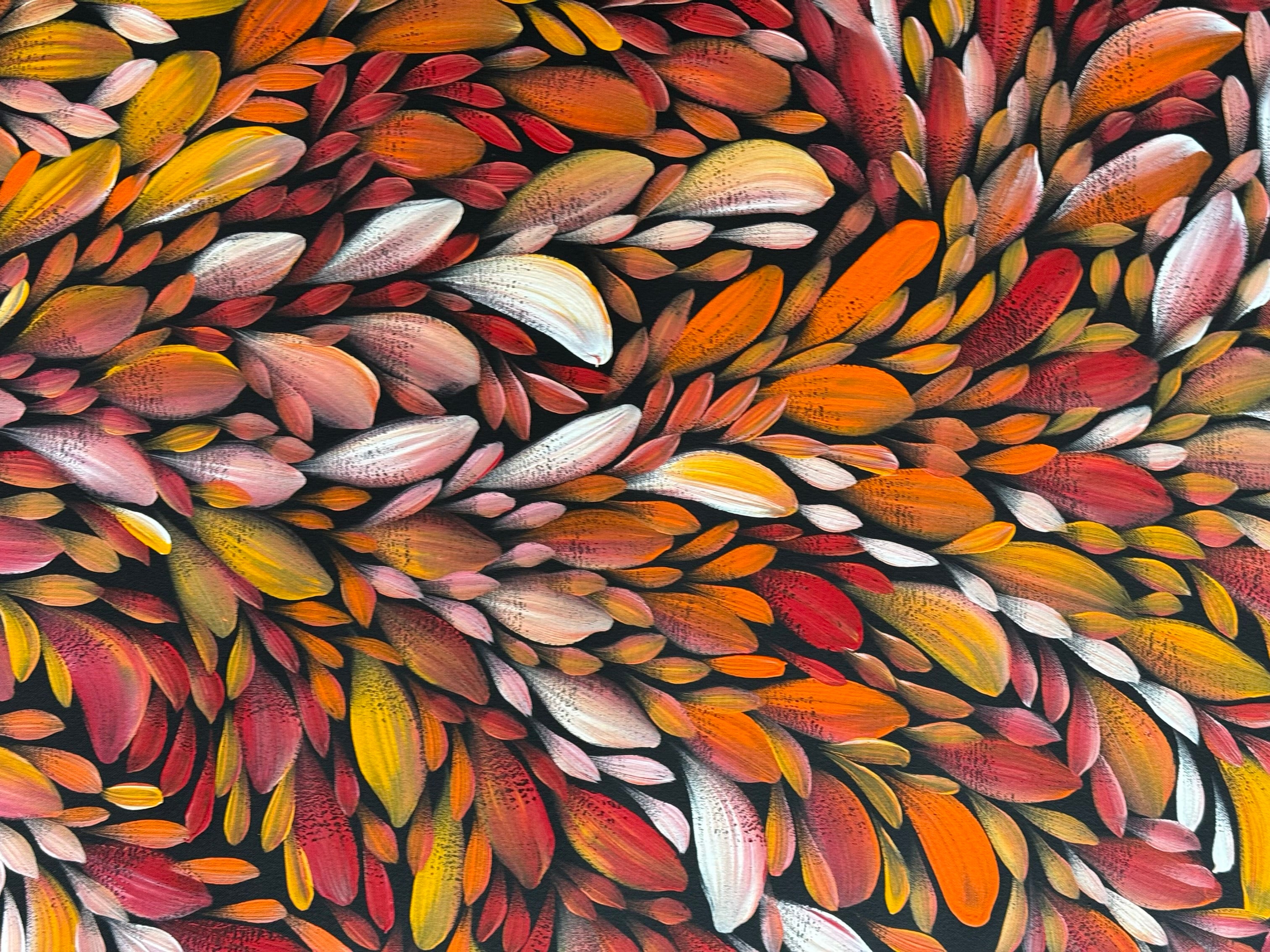 Louise Numina Napananka - Bush Medicine Leaves .57-41