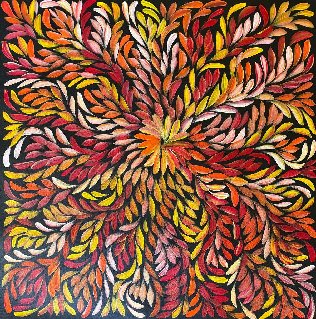 Louise Numina Napananka - Bush Medicine Leaves .36-13