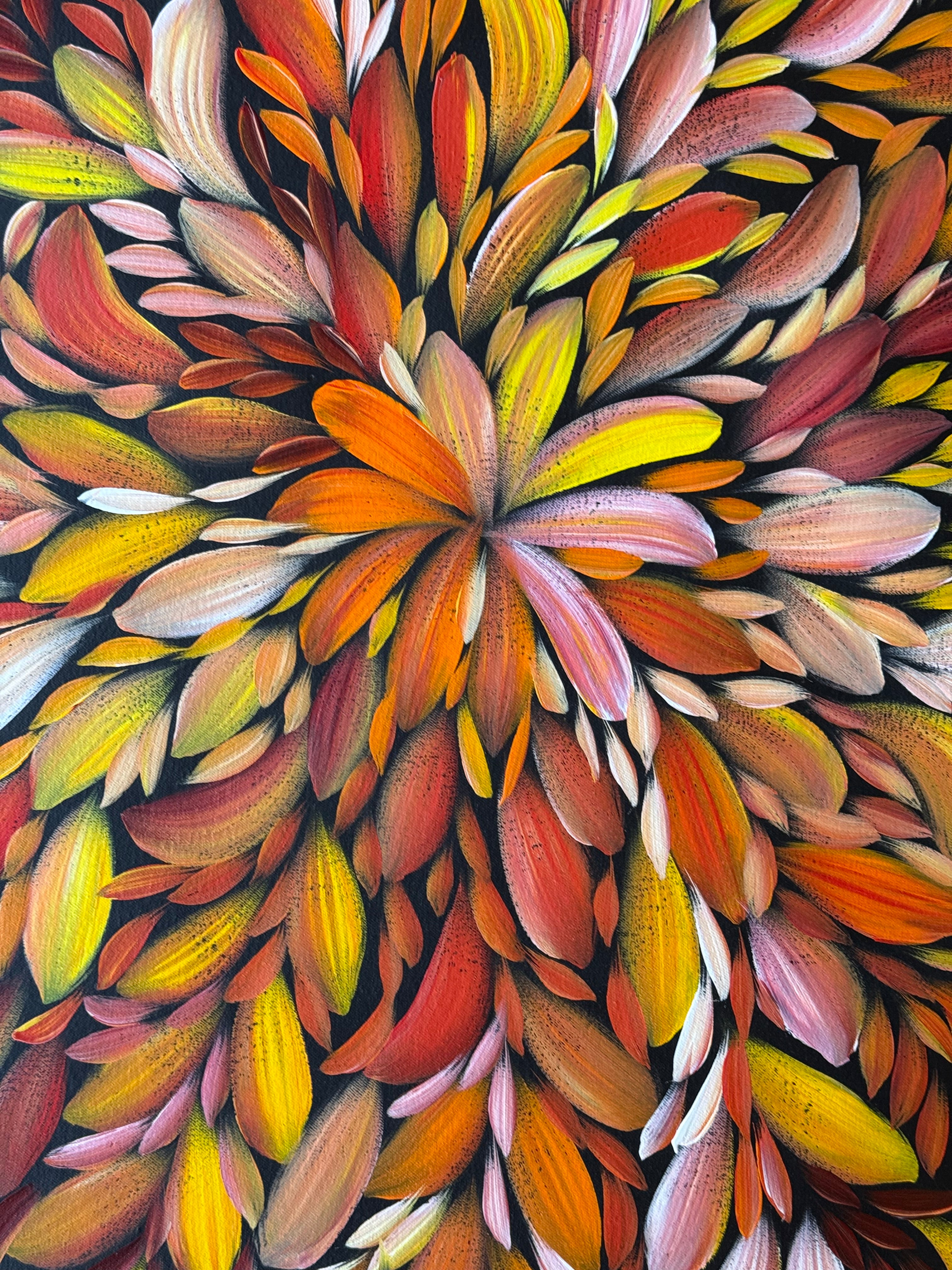 Louise Numina Napananka - Bush Medicine Leaves .23-20