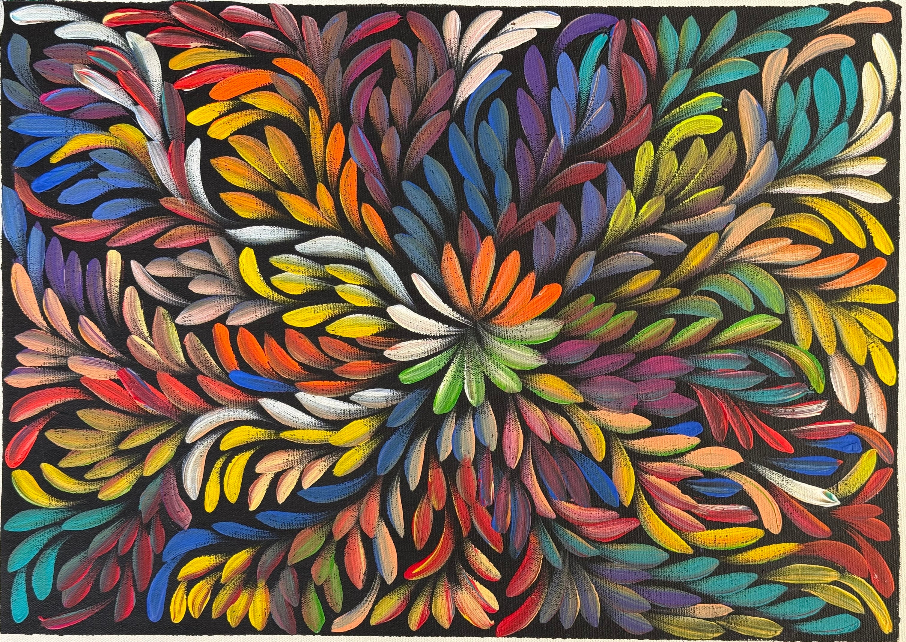 Louise Numina Napananka - Bush Medicine Leaves .81-36