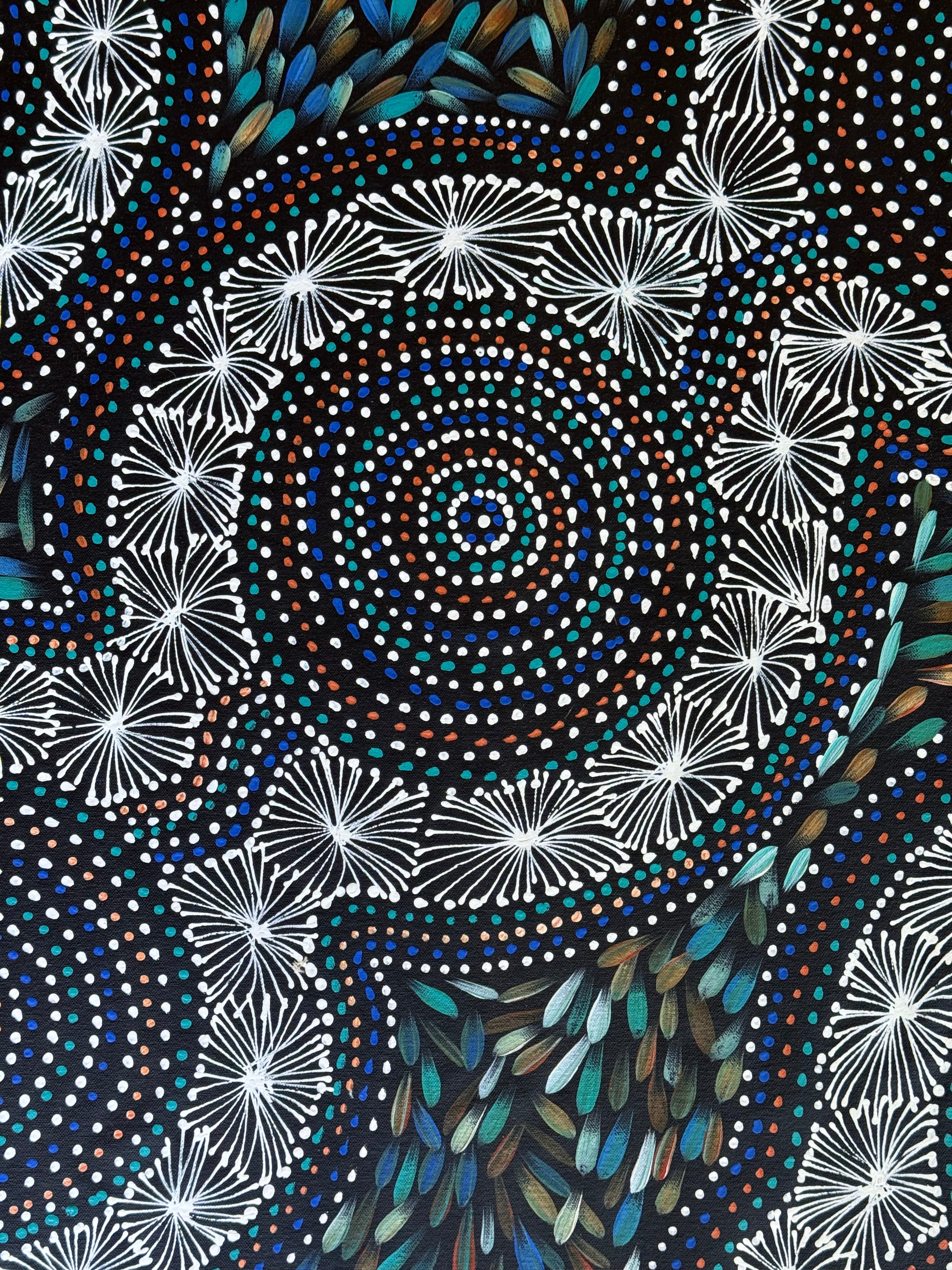 Selina Numina Kamprina - Seeds and Waterholes .92-16