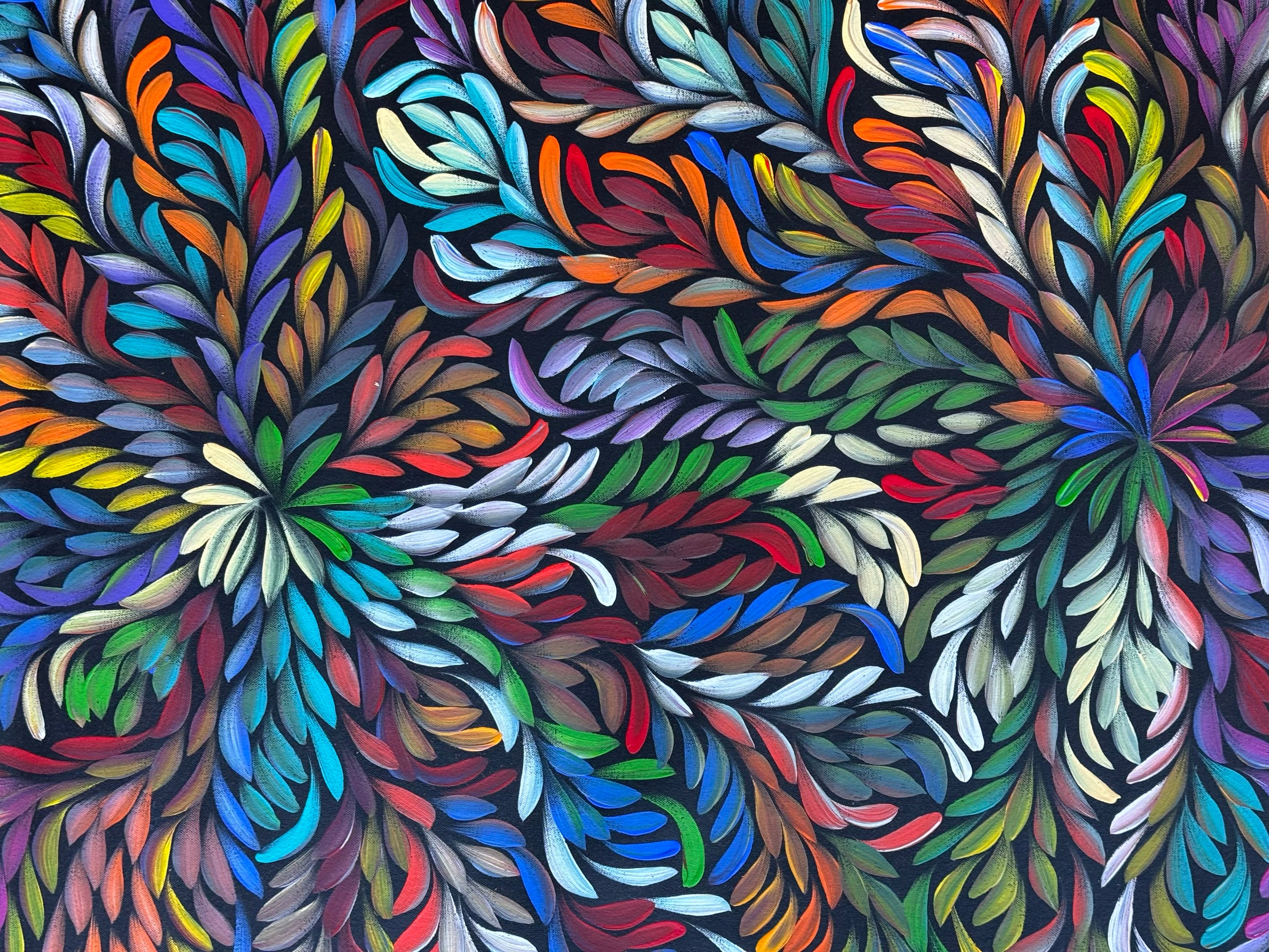 Louise Numina Napananka - Bush Medicine Leaves .57-59
