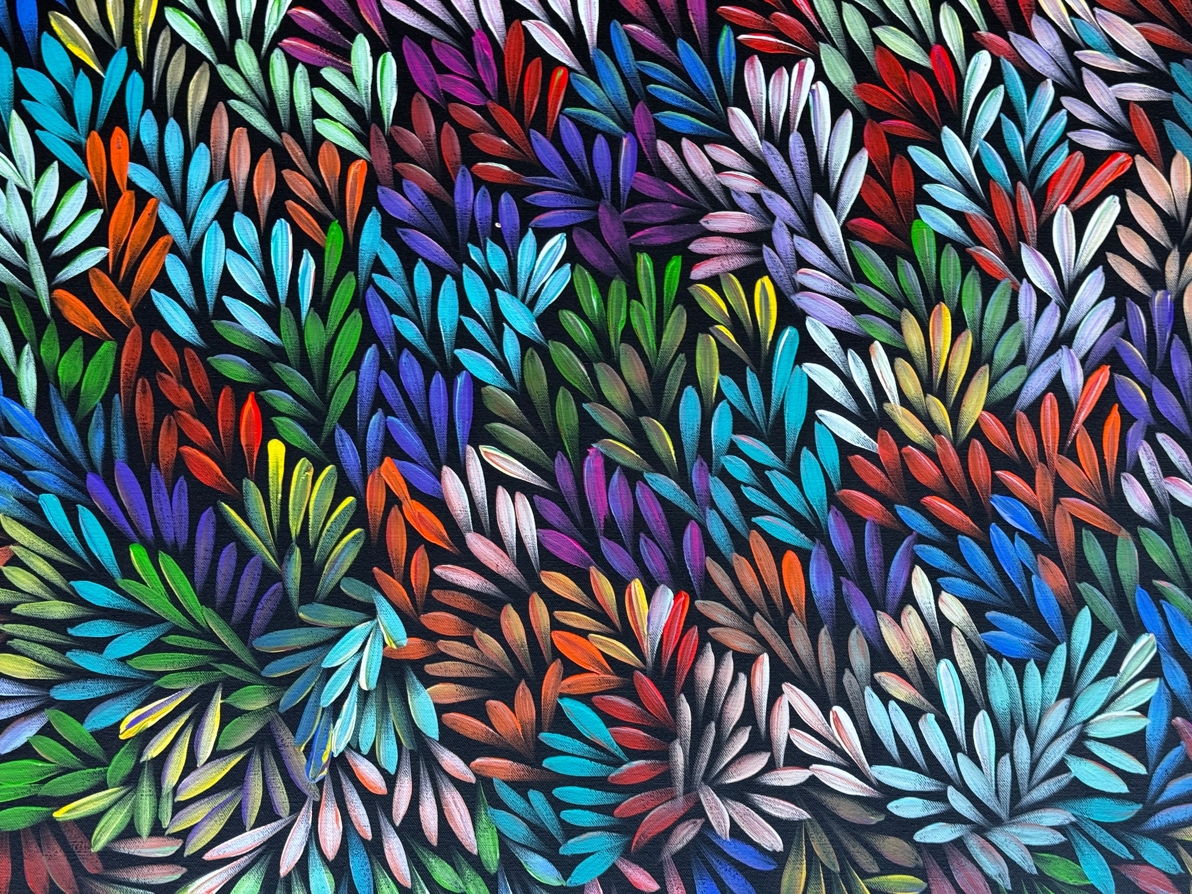 Sharon Numina - Bush Medicine Leaves .48-1