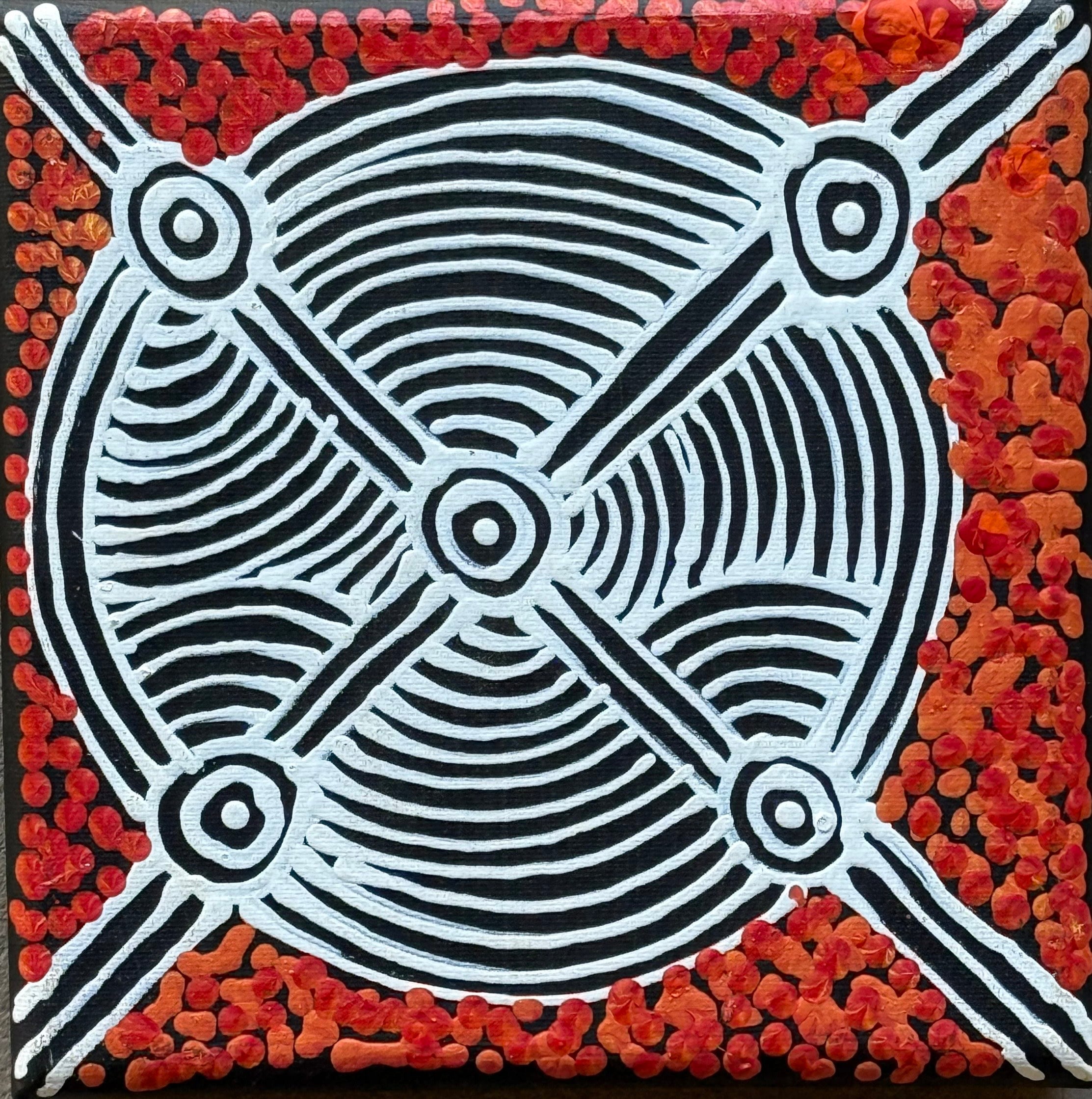 Reanne Nampijinpa Brown - Ngapa Jukurrpa - Mikanji (Water Dreaming)