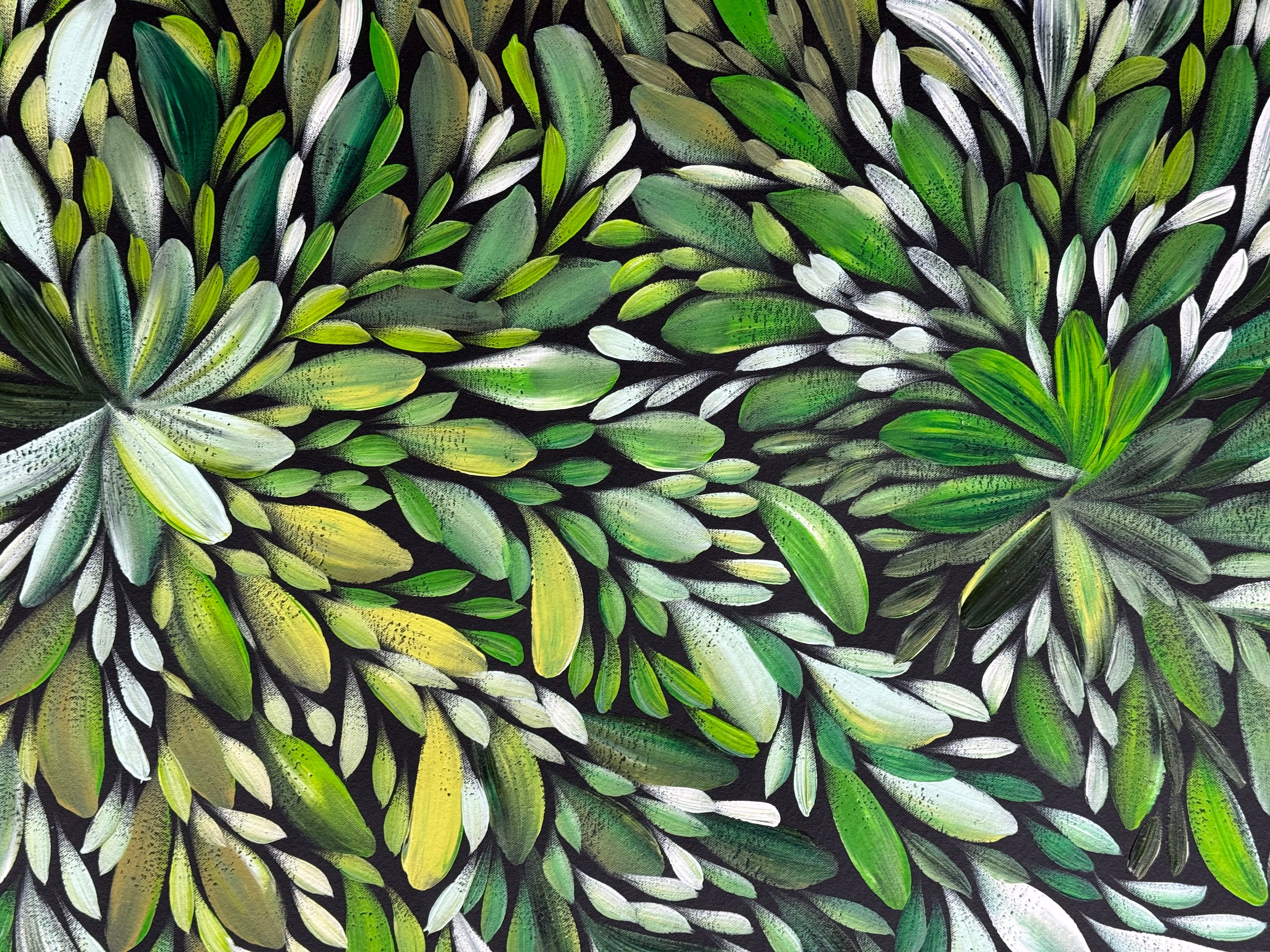Louise Numina Napananka - Bush Medicine Leaves .22-23