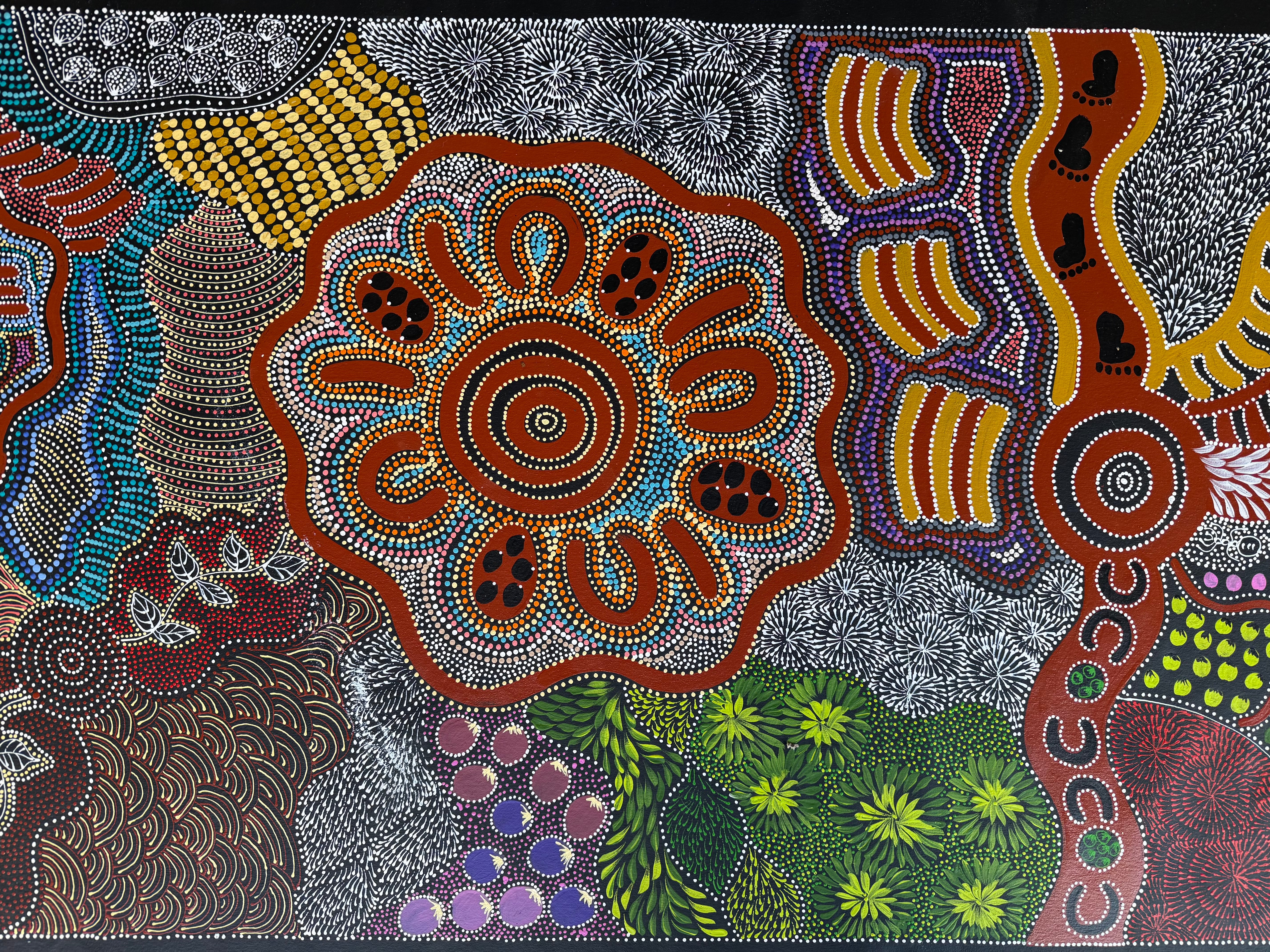 Caroline Numina - Women Collecting Bush Tucker .04-3