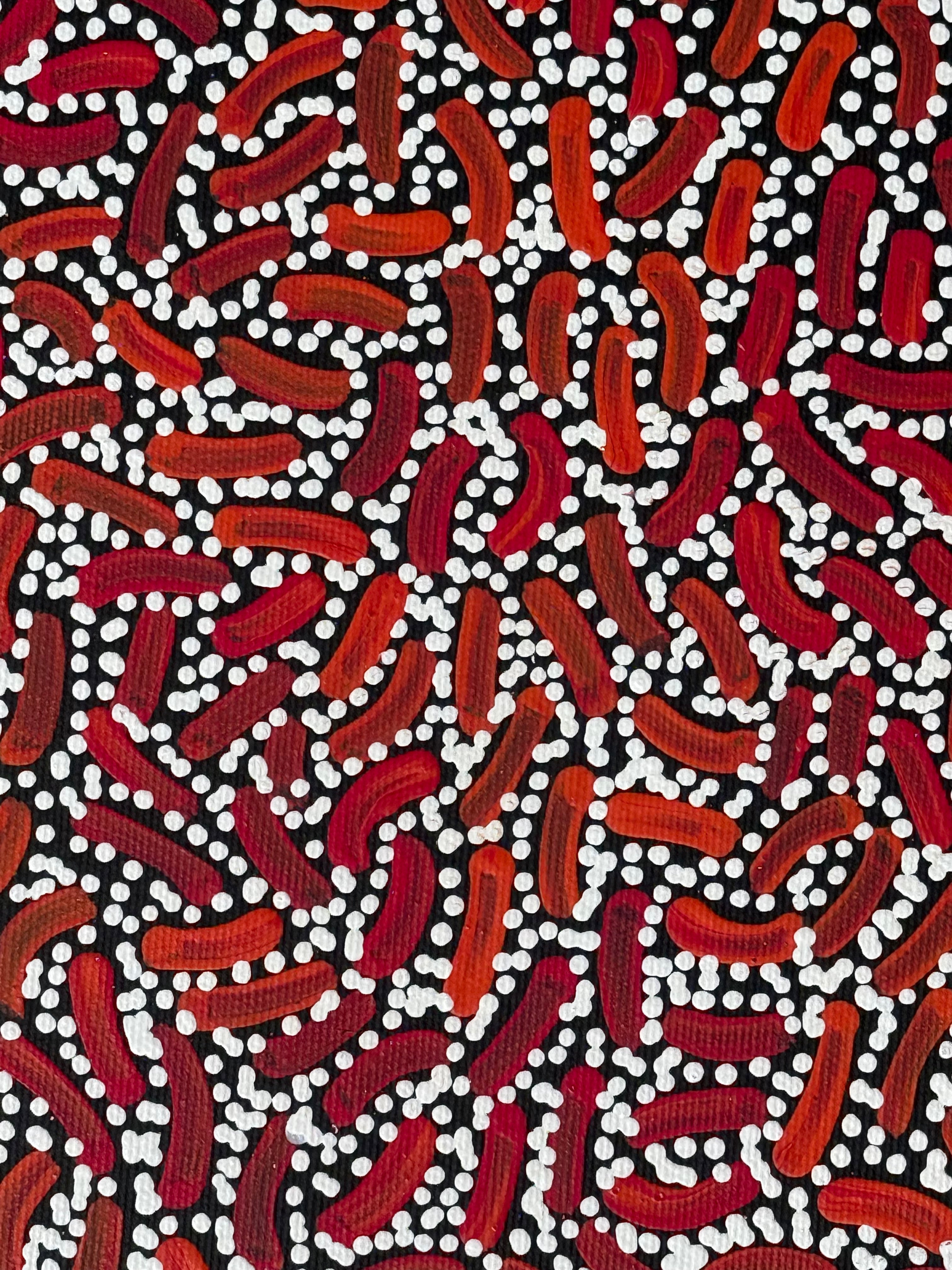 Nathania Nangala Granites - Warlukurlangu Jukurrpa (Fire Country Dreaming) - Stretched