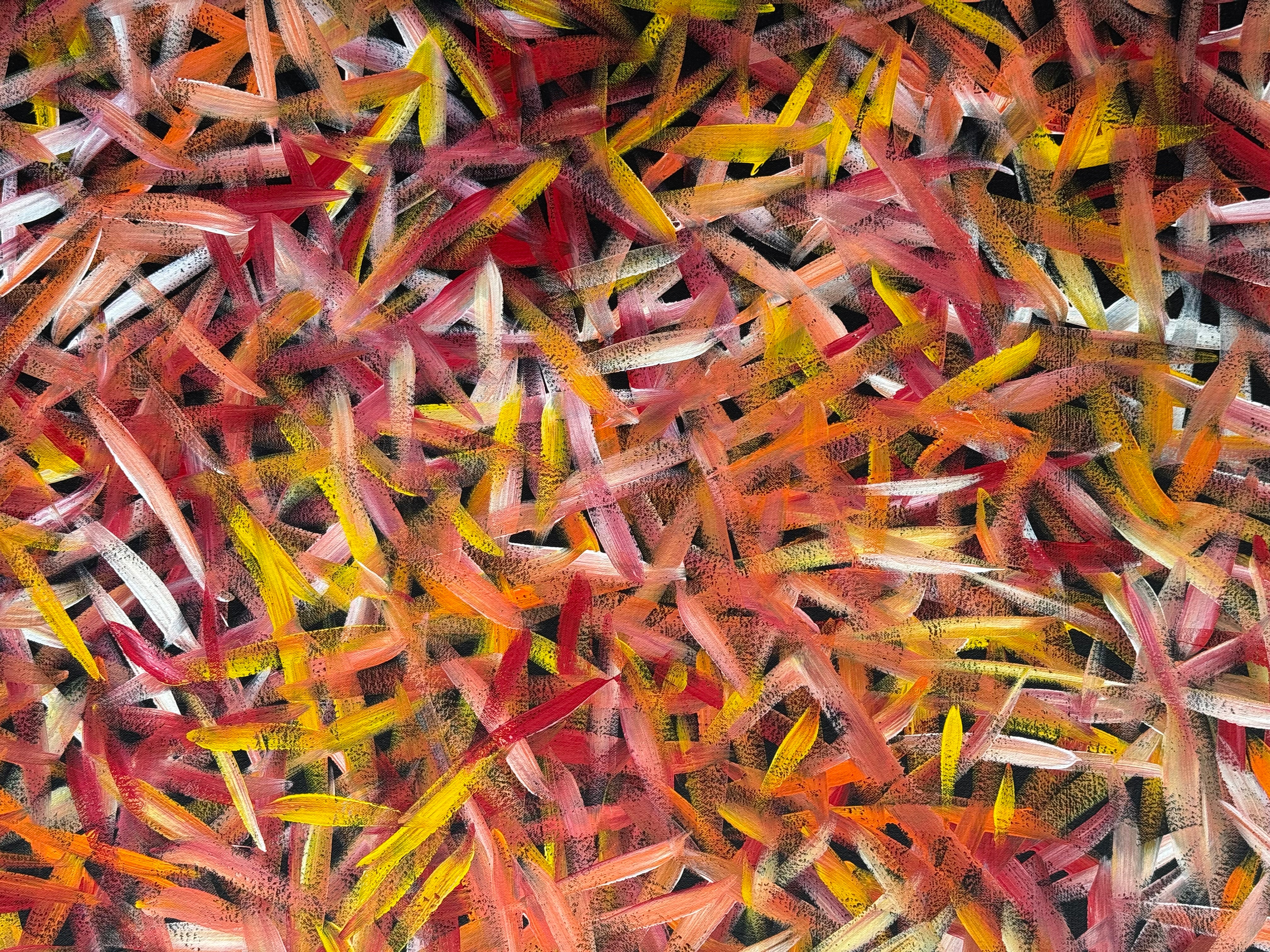 Louise Numina - Spinifex Grass .90-4