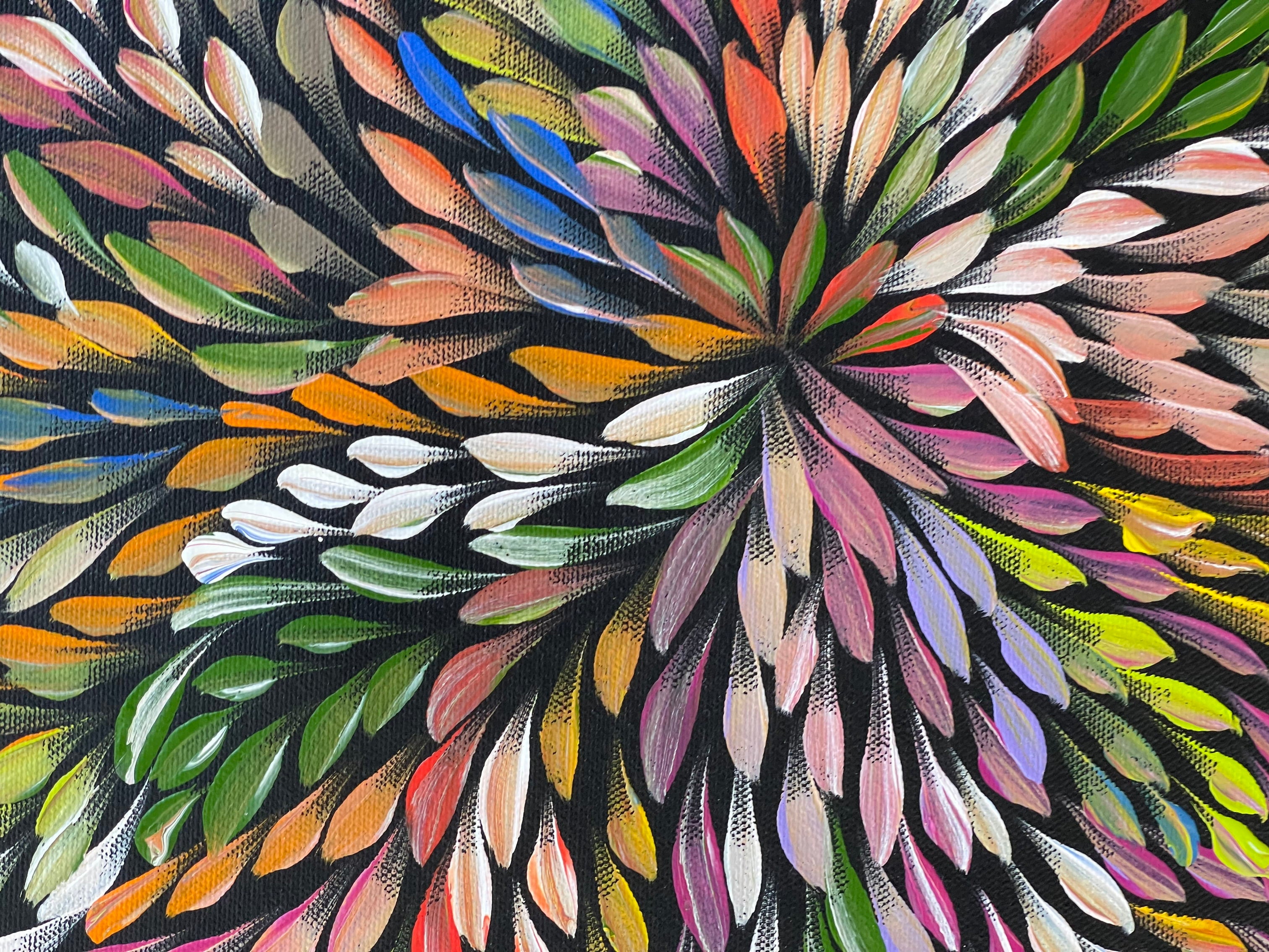 Caroline Numina - Bush Medicine Leaves - 52x38cm .62-11