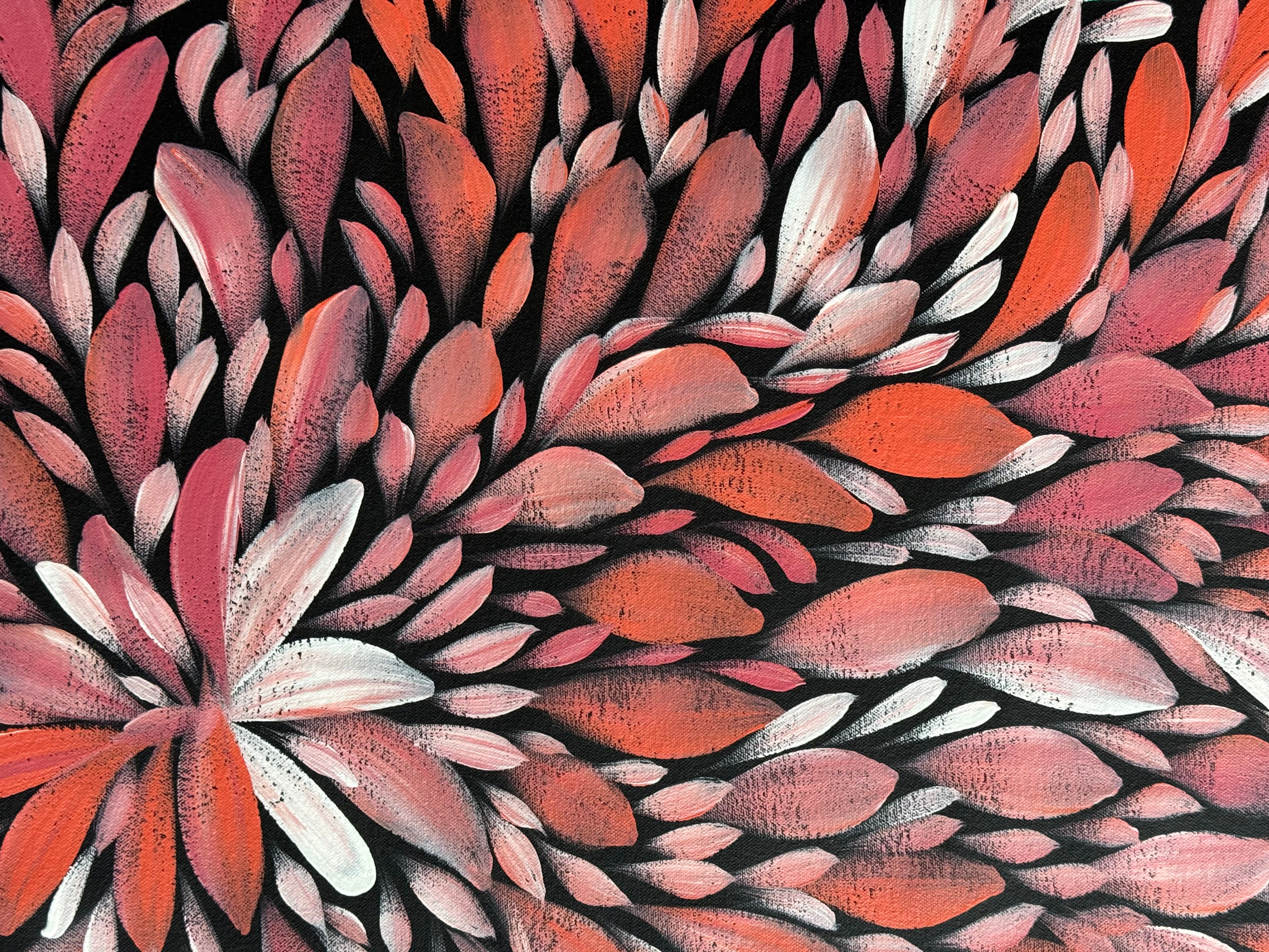 Louise Numina Napananka - Bush Medicine Leaves .30-11