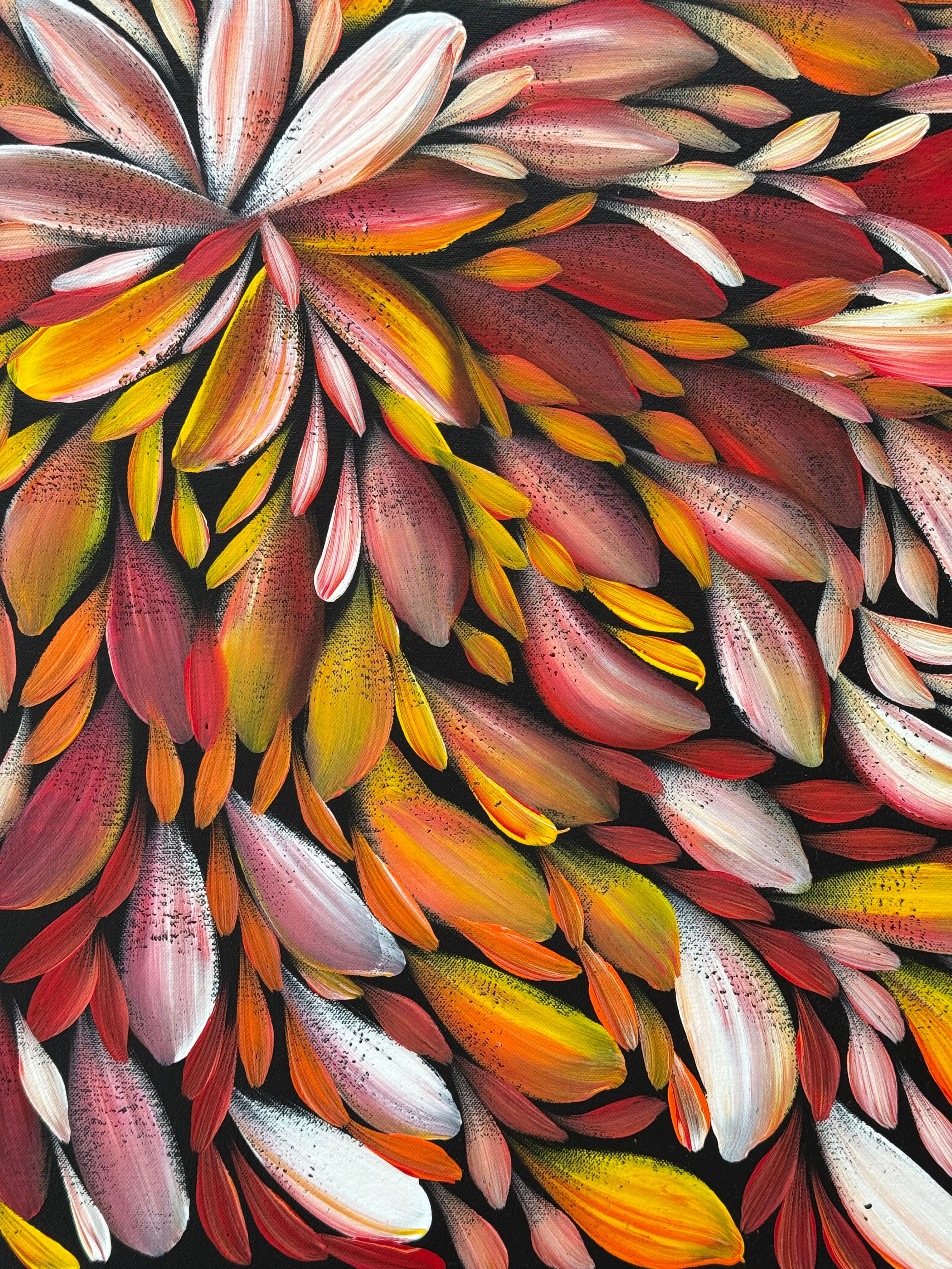 Louise Numina Napananka - Bush Medicine Leaves .75-6