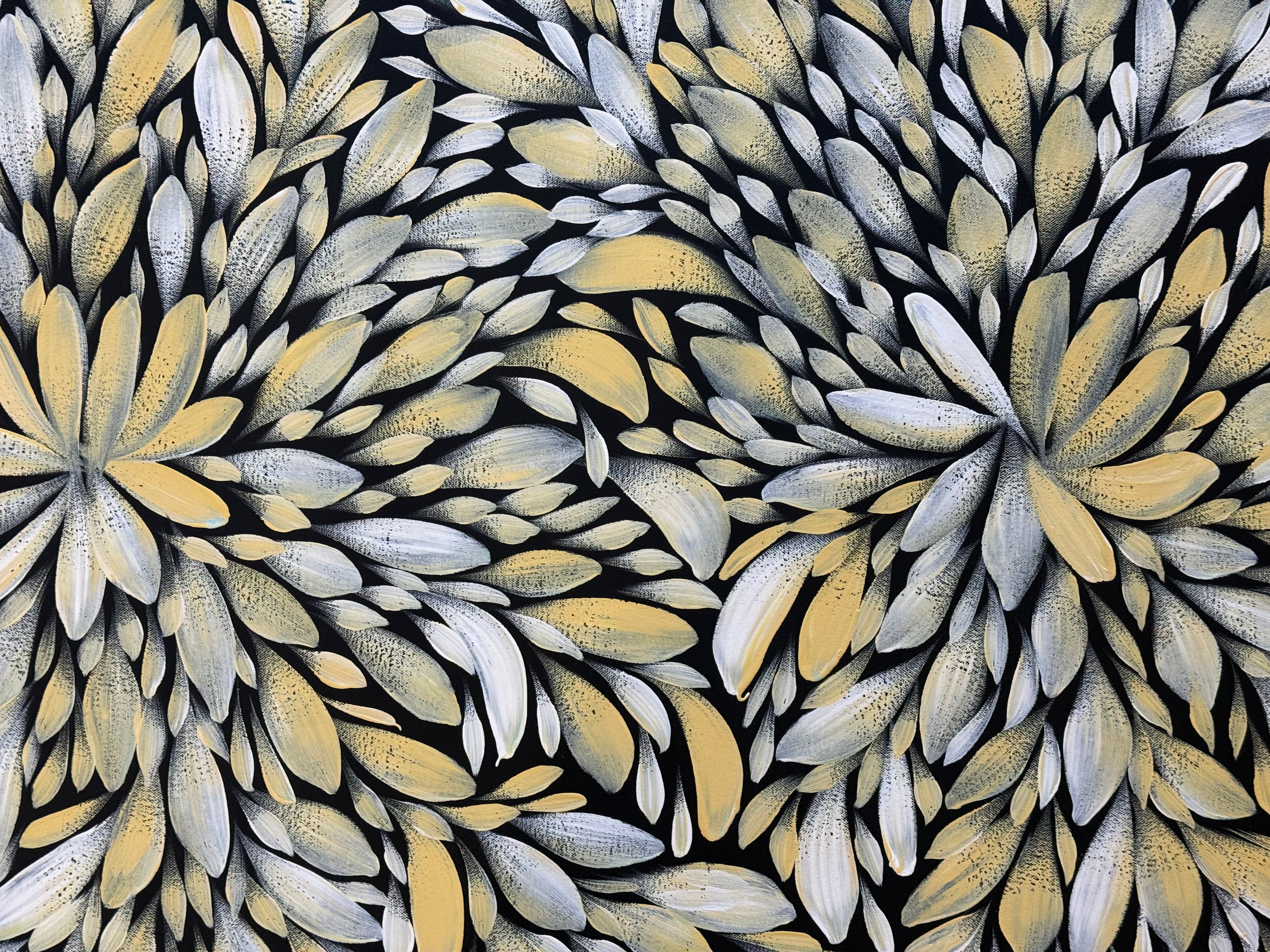 Louise Numina Napananka - Bush Medicine Leaves .21-8
