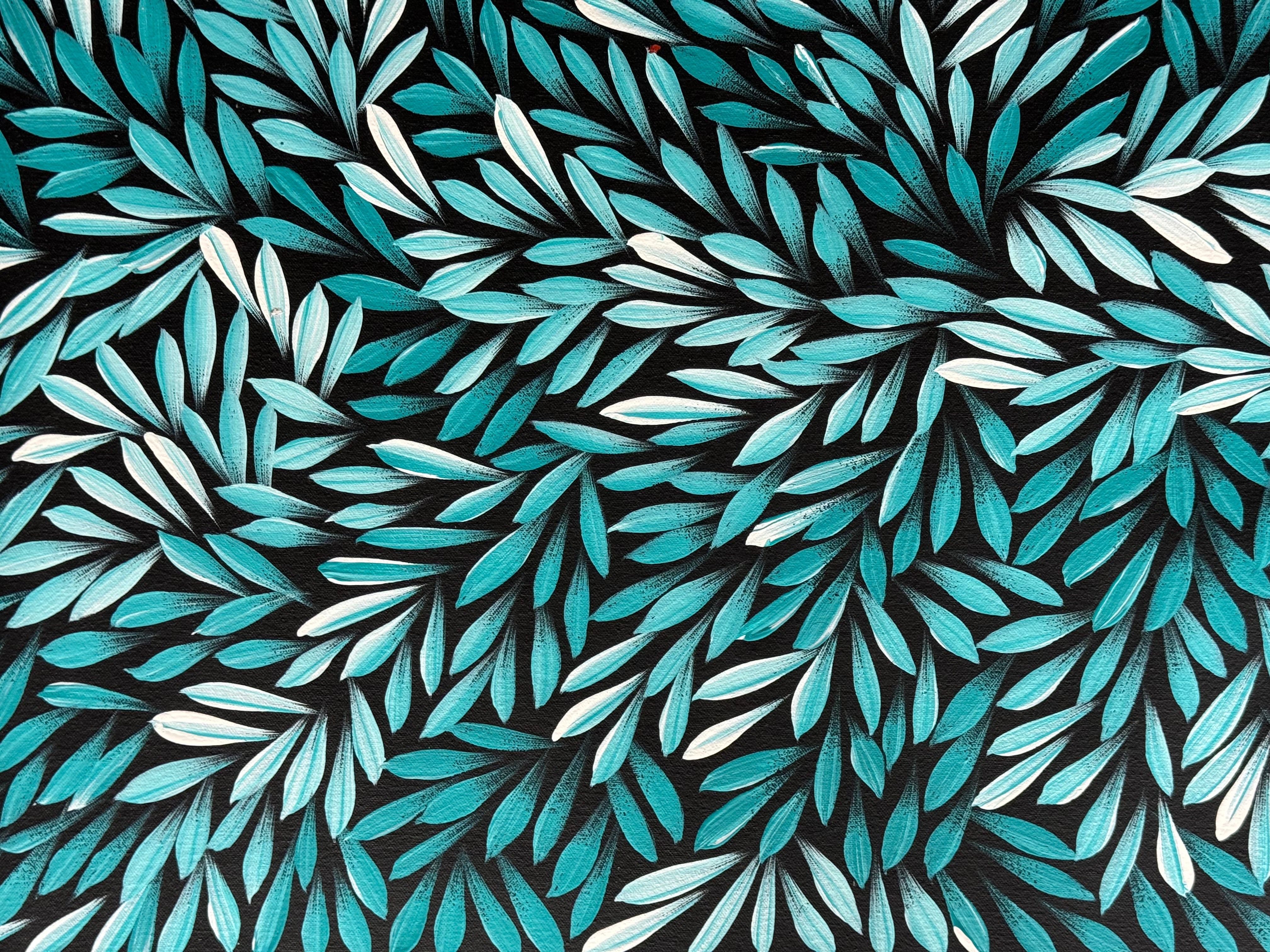 Sharon Numina - Bush Medicine Leaves .14-15